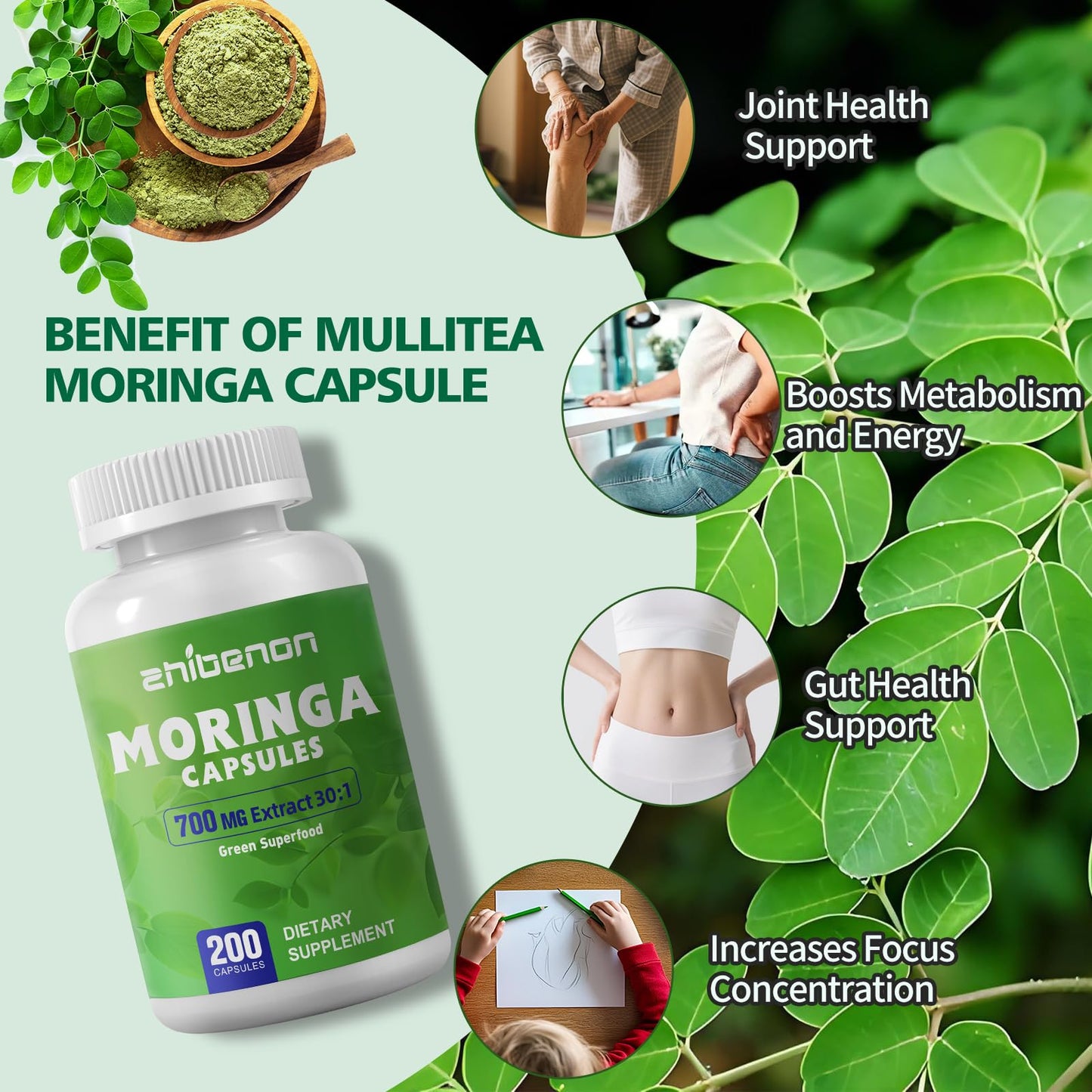 Zhibenon Moringa Oleifera Extract 700mg per Serving Capsule, 200 Count
