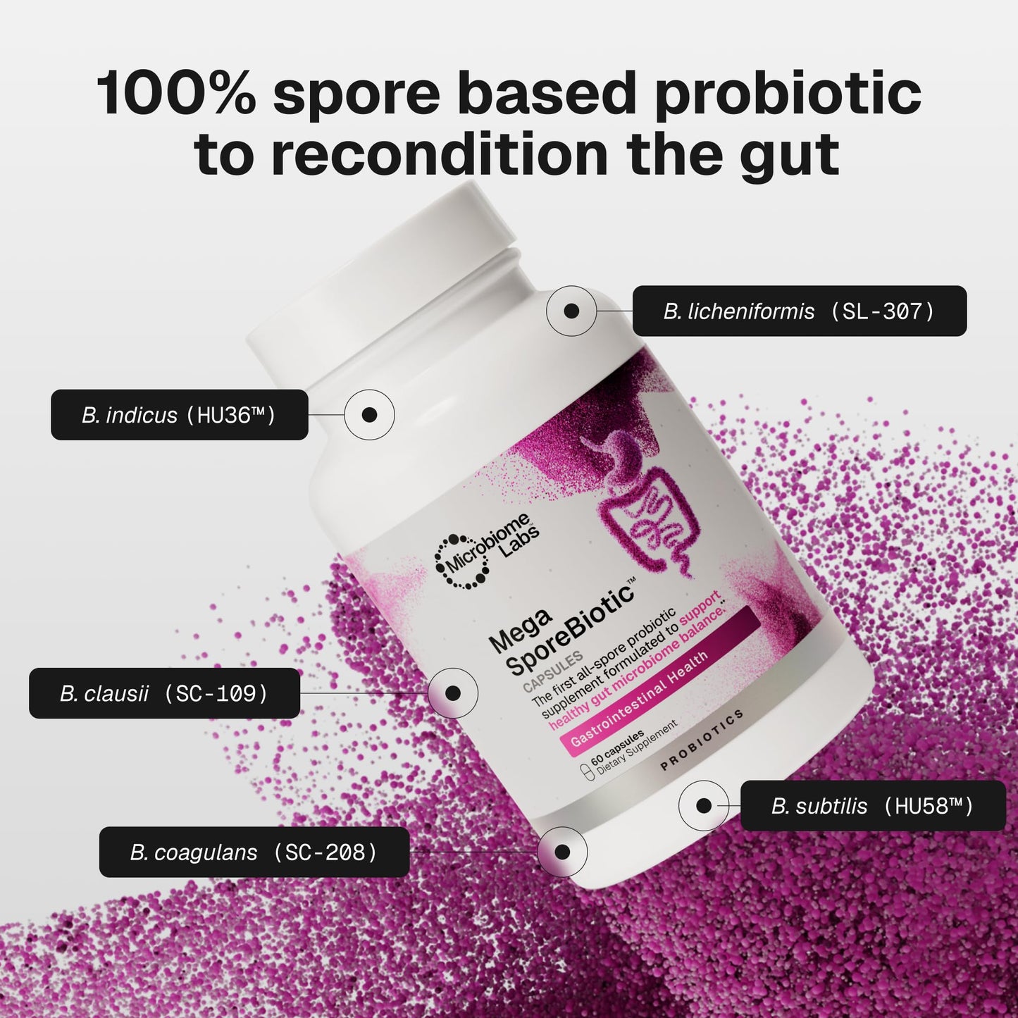 Microbiome Labs MegaSporeBiotic Probiotics 60 Capsules
