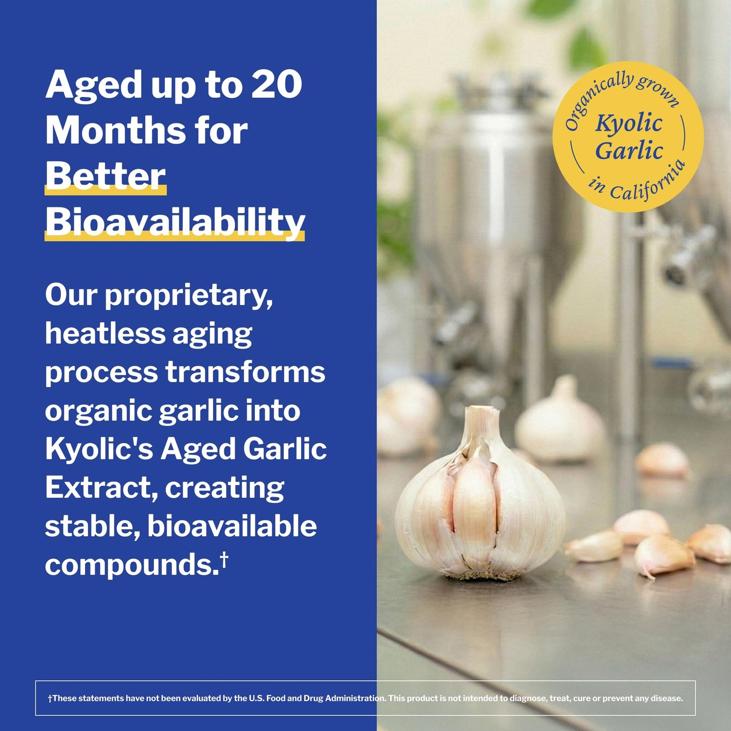 Kyolic Aged Garlic Extract Blood Pressure Health Formula 109 Capsules, 240 Count