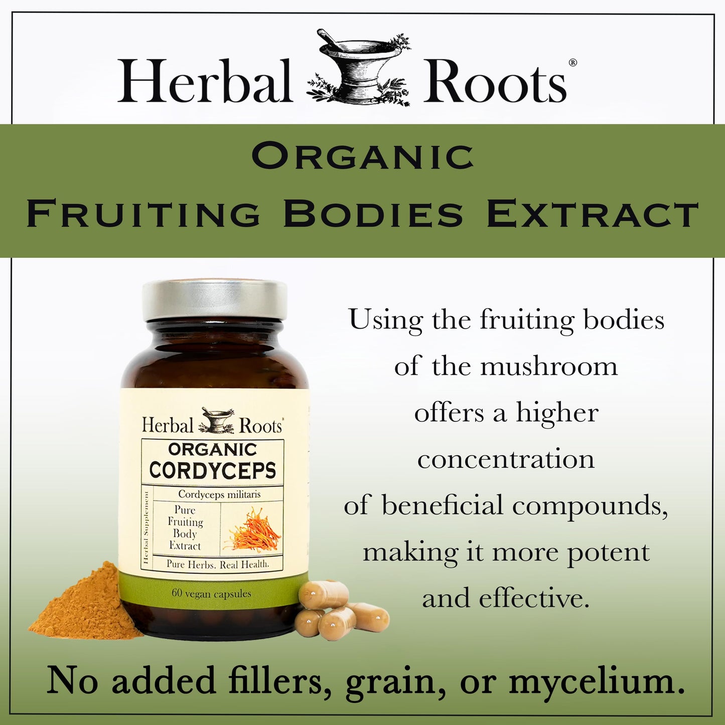 Herbal Roots Cordyceps Fruiting Body Extract Mushroom Capsules 60 Capsules