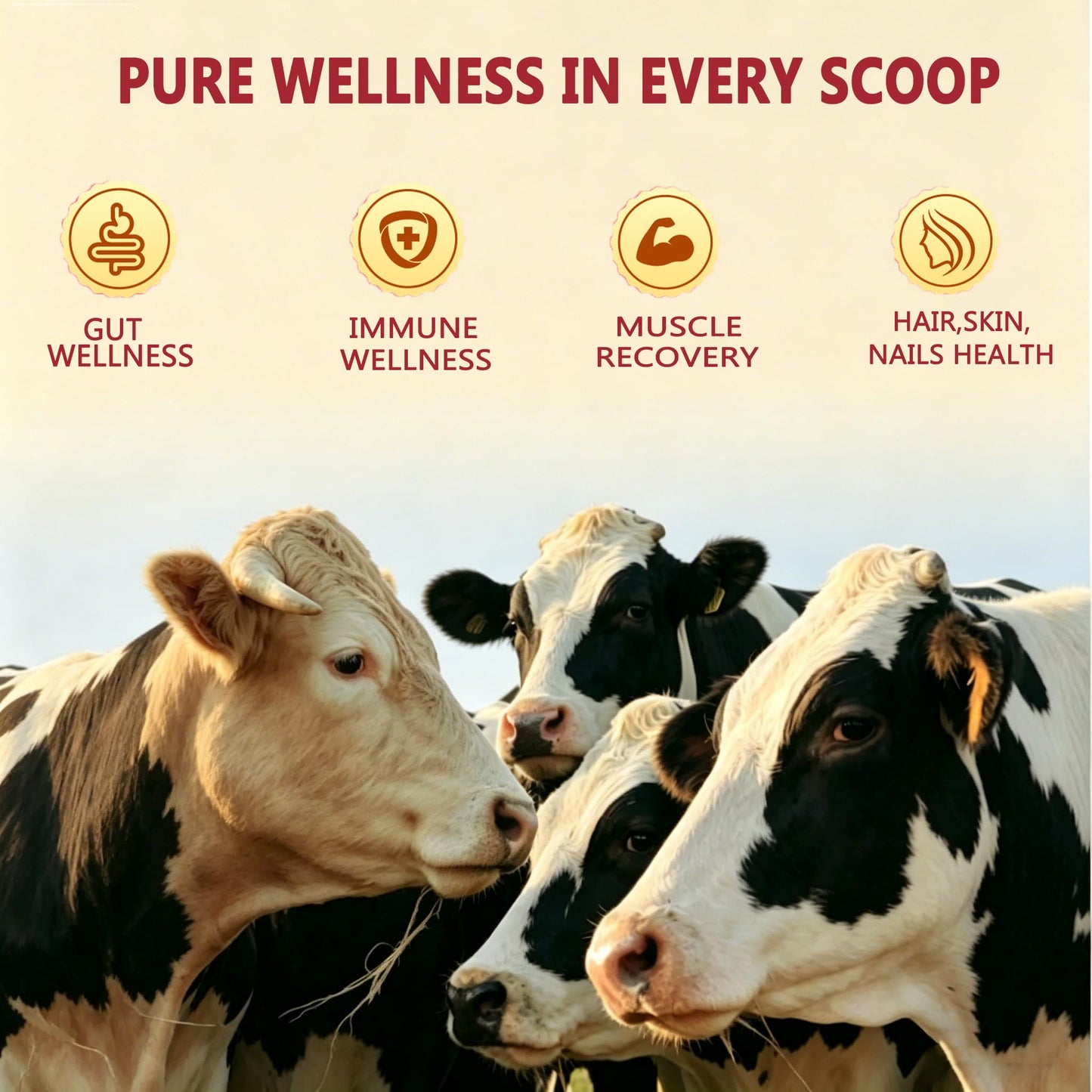 JUYIHEAL Core Bovine Colostrum Gummies Gummy 60 Count
