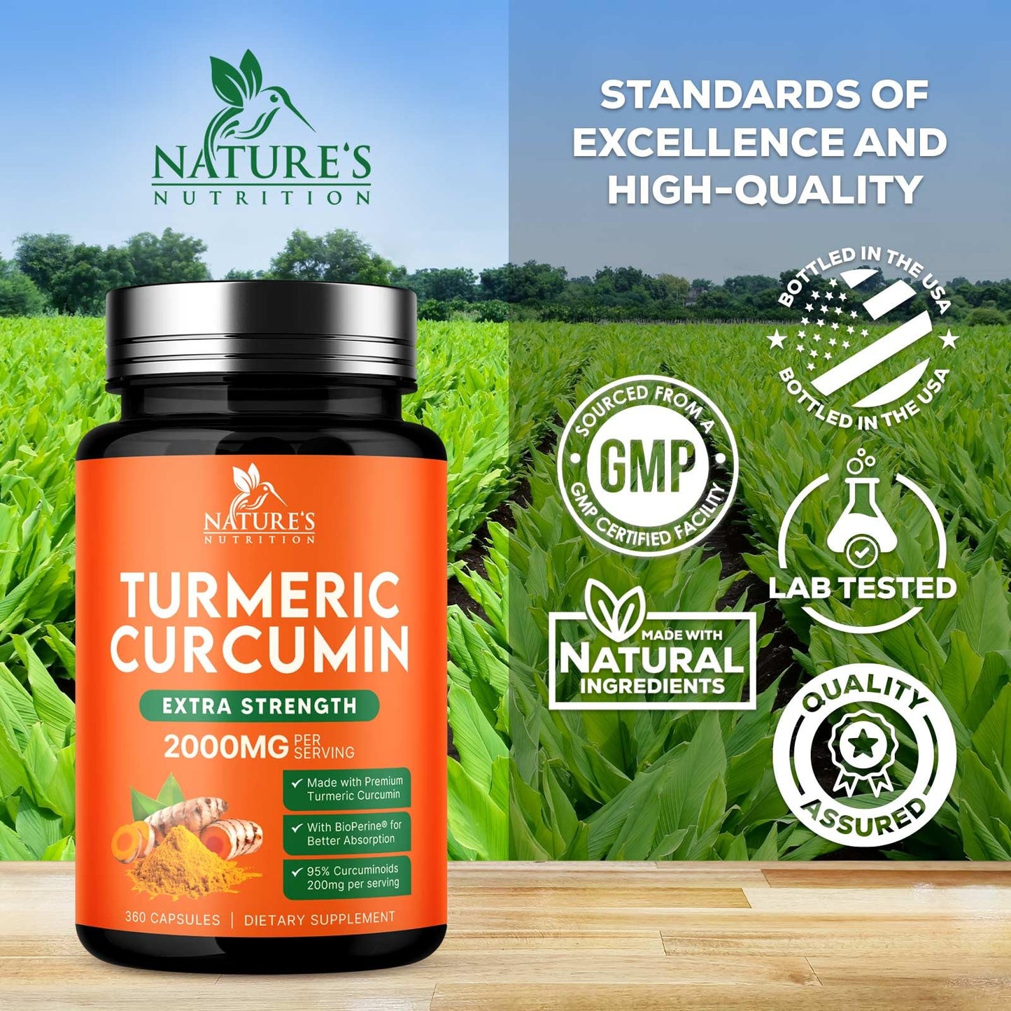 Nature's Nutrition Turmeric Curcumin Supplement 360 Capsules