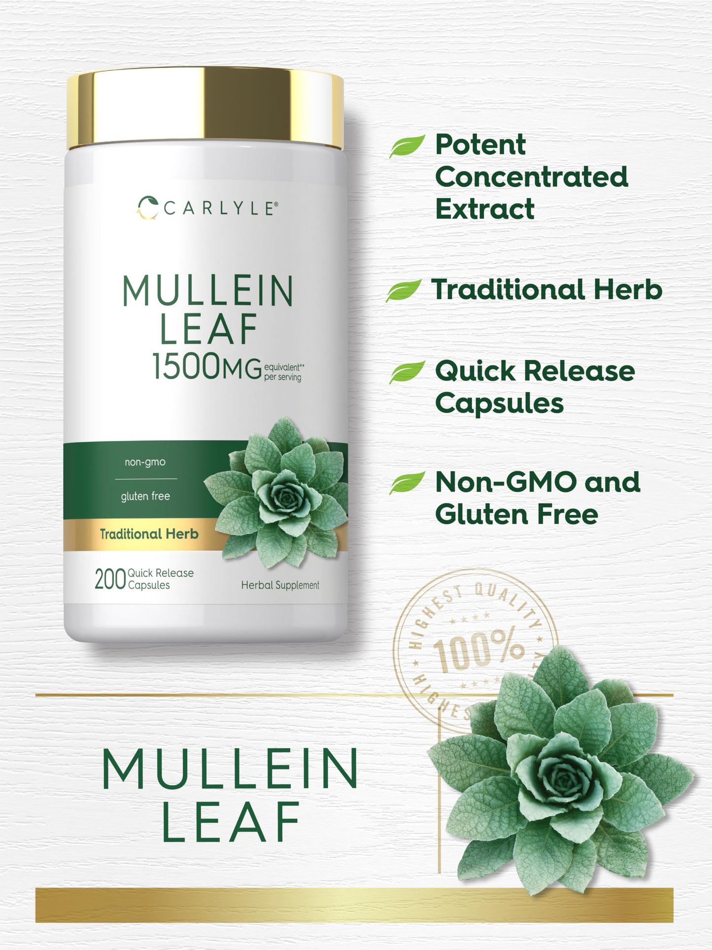 Carlyle Mullein Leaf Extract Capsule 200 Capsules