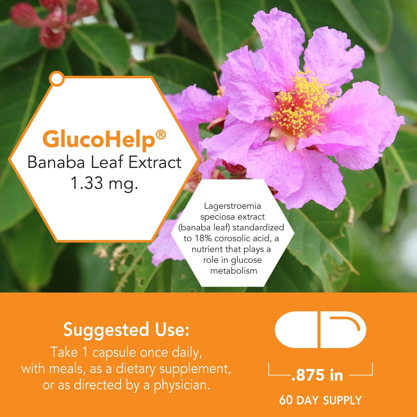 Botanic Choice GlucoHelp Banaba Leaf Extract Supplement Capsules, 60 Count
