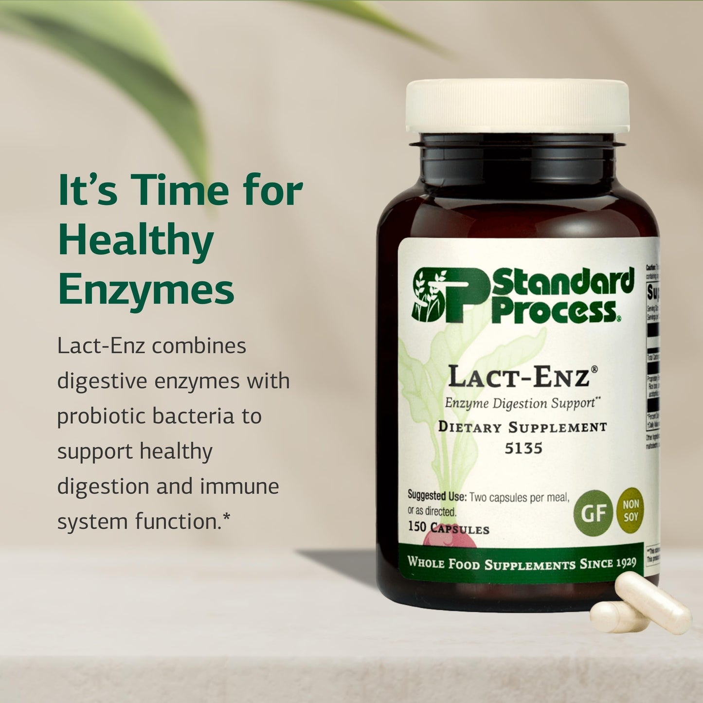 Standard Process Lact-ENZ Enzyme Digestion Support Capsule 90 Count