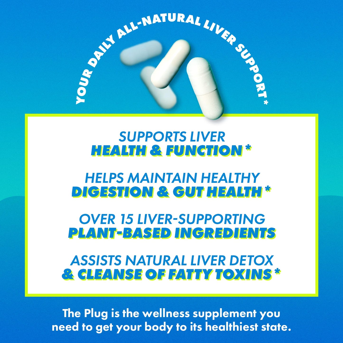 The Plug Liver Cleanse Detox & Repair Pills - Milk Thistle Liver Detox - Fatty Liver Support Supplement Capsules, 20