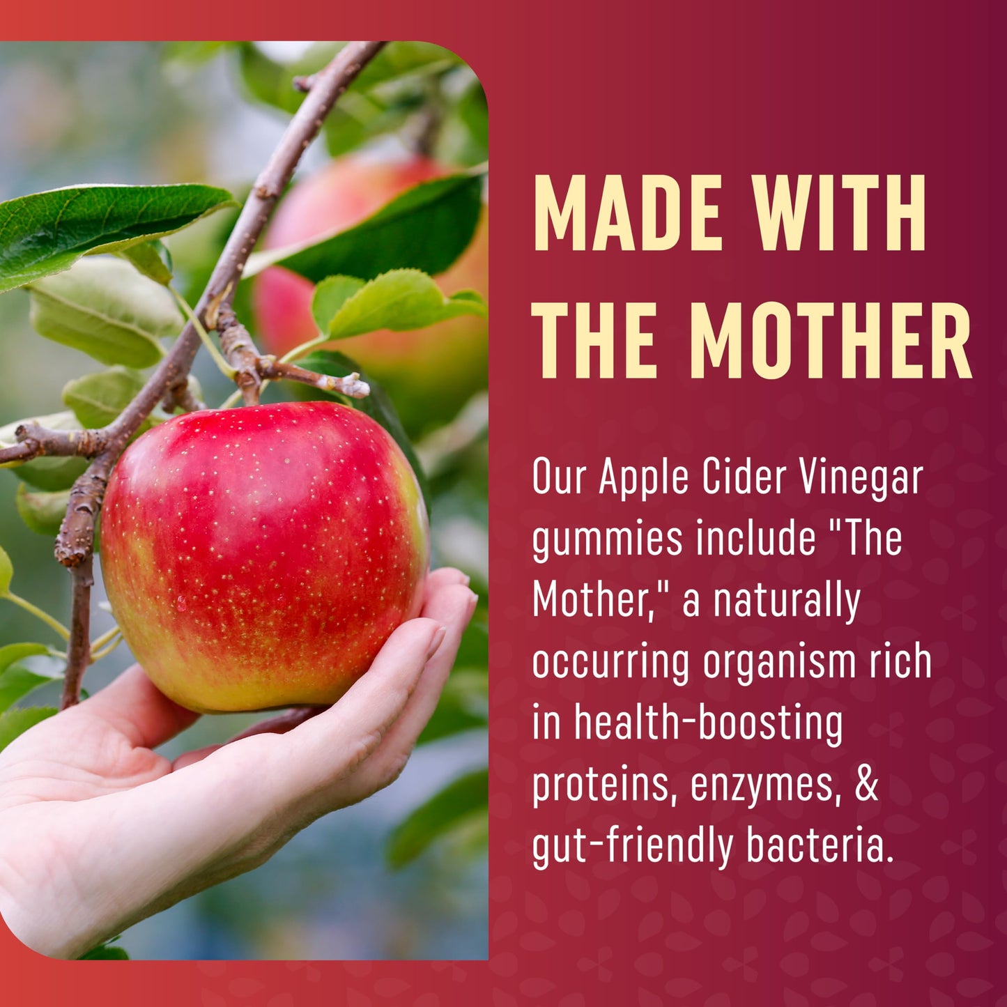 MAV NUTRITION Organic Apple Cider Vinegar Gummies, 1000mg ACV per Serving, With The Mother, Vitamin B6, B12 & Folate, Vegan, Gluten-Free, 60 Gummies