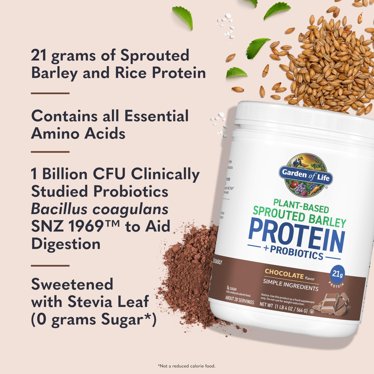 Garden of Life Sprouted Barley Protein Powder, Chocolate, 20 Servings, 1.53 lb