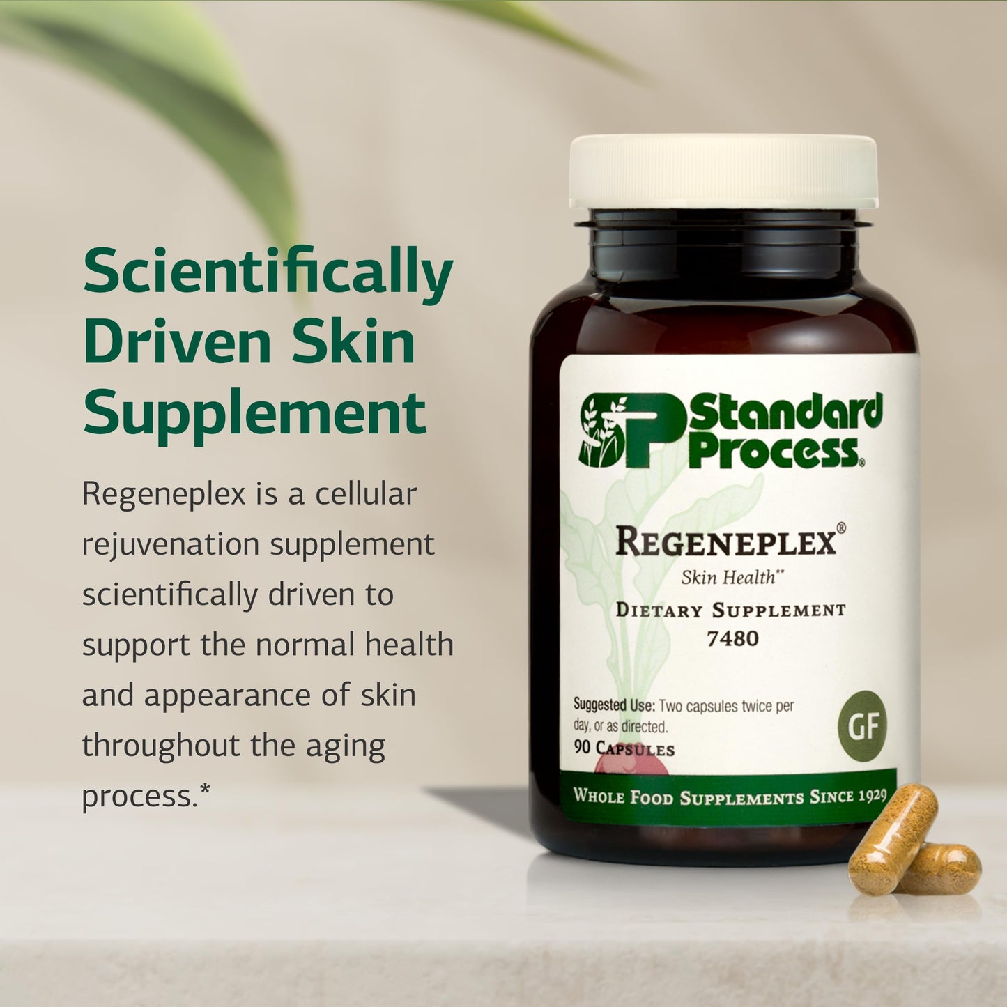 Standard Process Inc. Regeneplex 90 Capsules