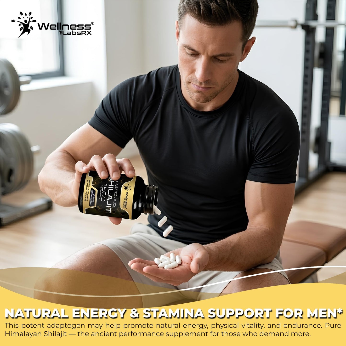 WELLNESS LABSRX Himalayan Shilajit Capsules, 240 Capsules