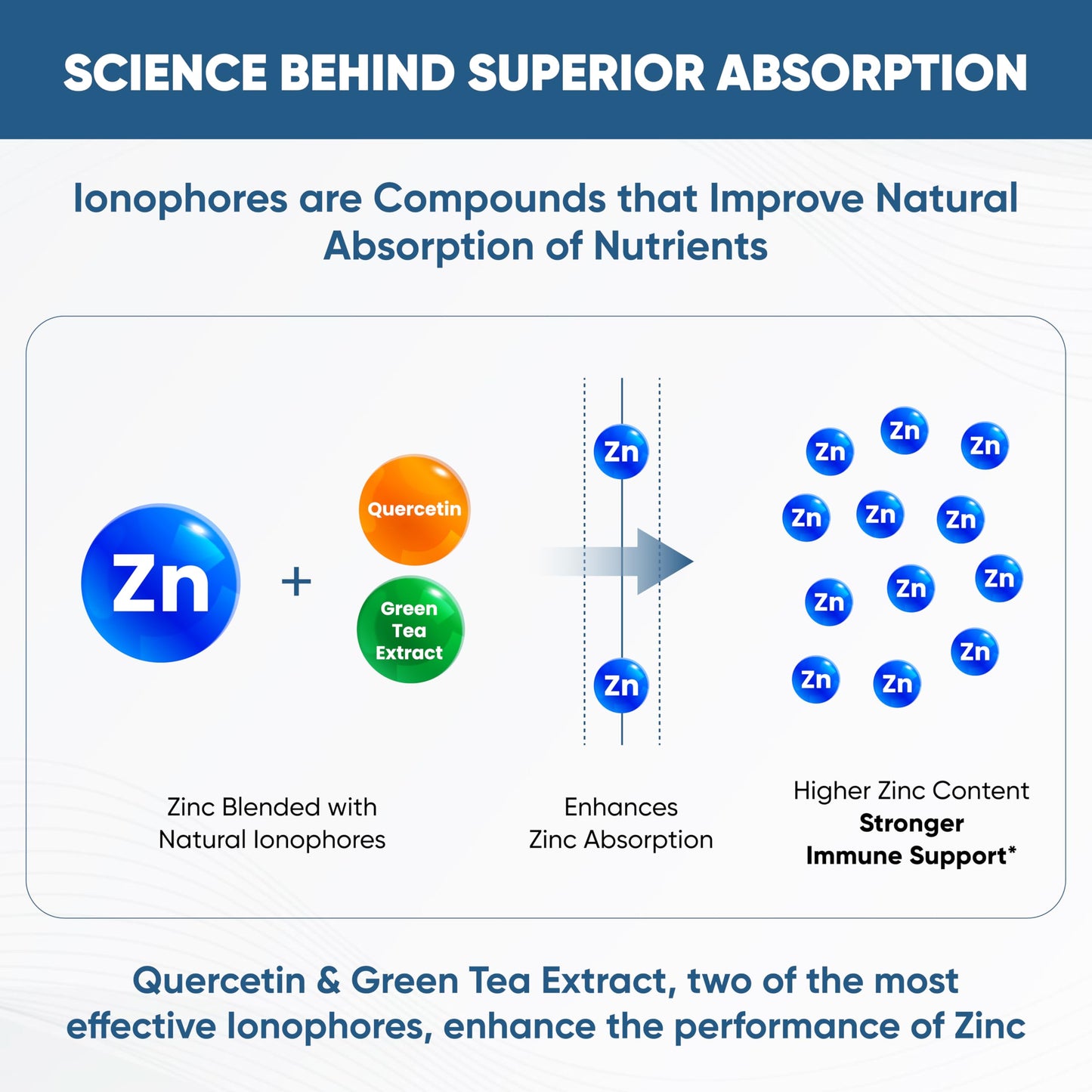 Sandhu's Zinc Supplement with Ionophores, Quercetin & Green Tea Extract 800mg Capsule, 60 Count