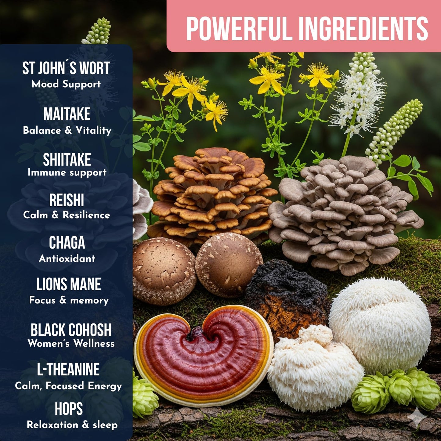 Ylva Blends Mushroom Coffee for Women Powder 6.35