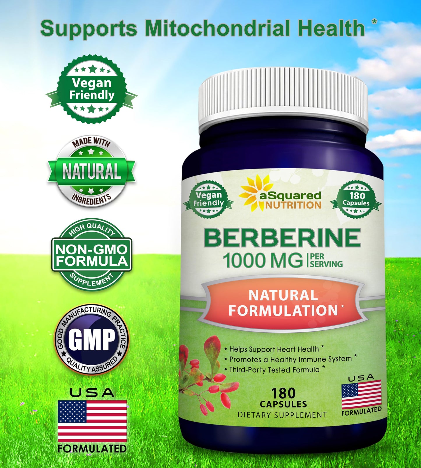 aSquared Nutrition Pure Berberine 1000mg Supplement Capsules, 180 Count