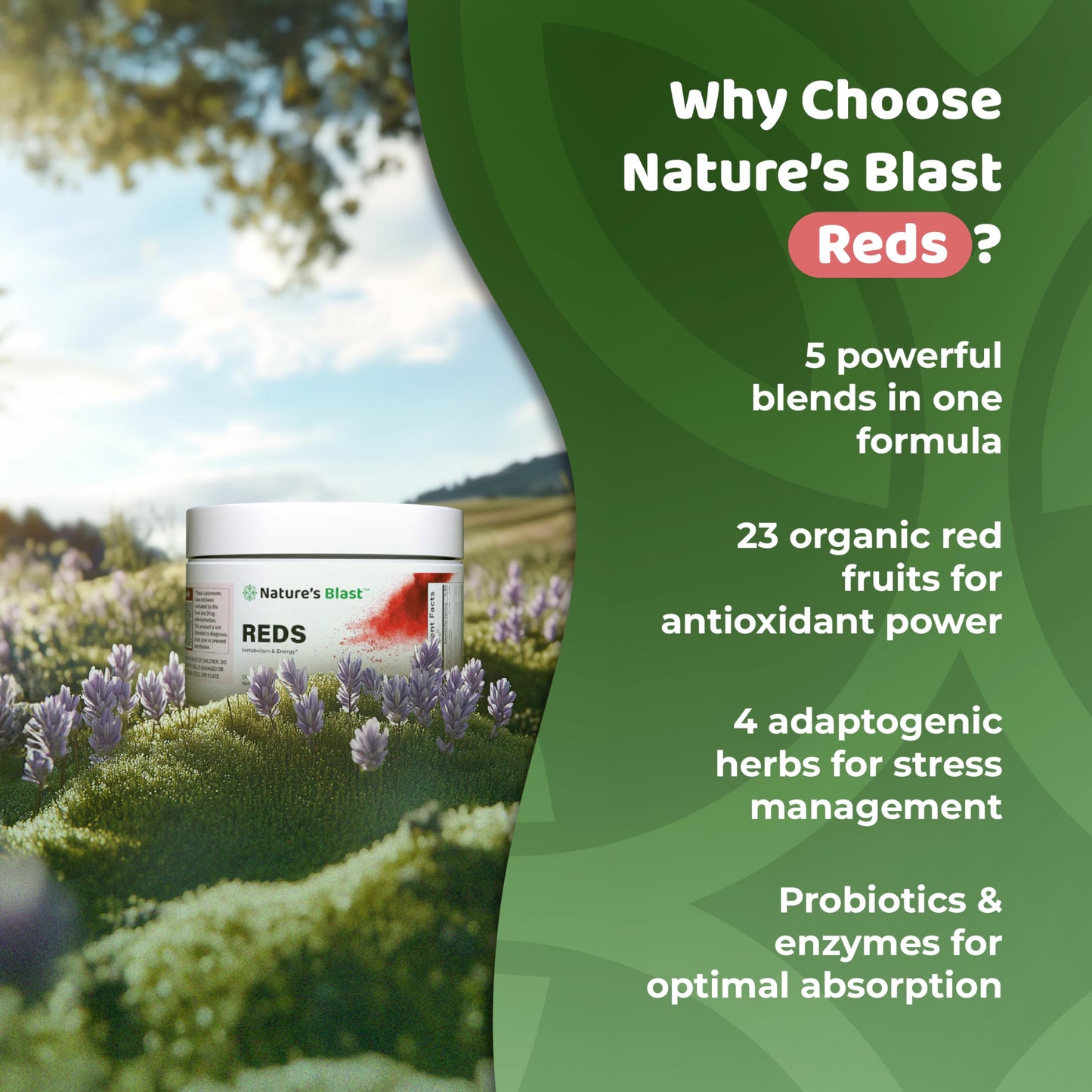 NATURES BLAST Reds Superfood for Metabolism and Energy with Probiotics Powder 4.13 oz