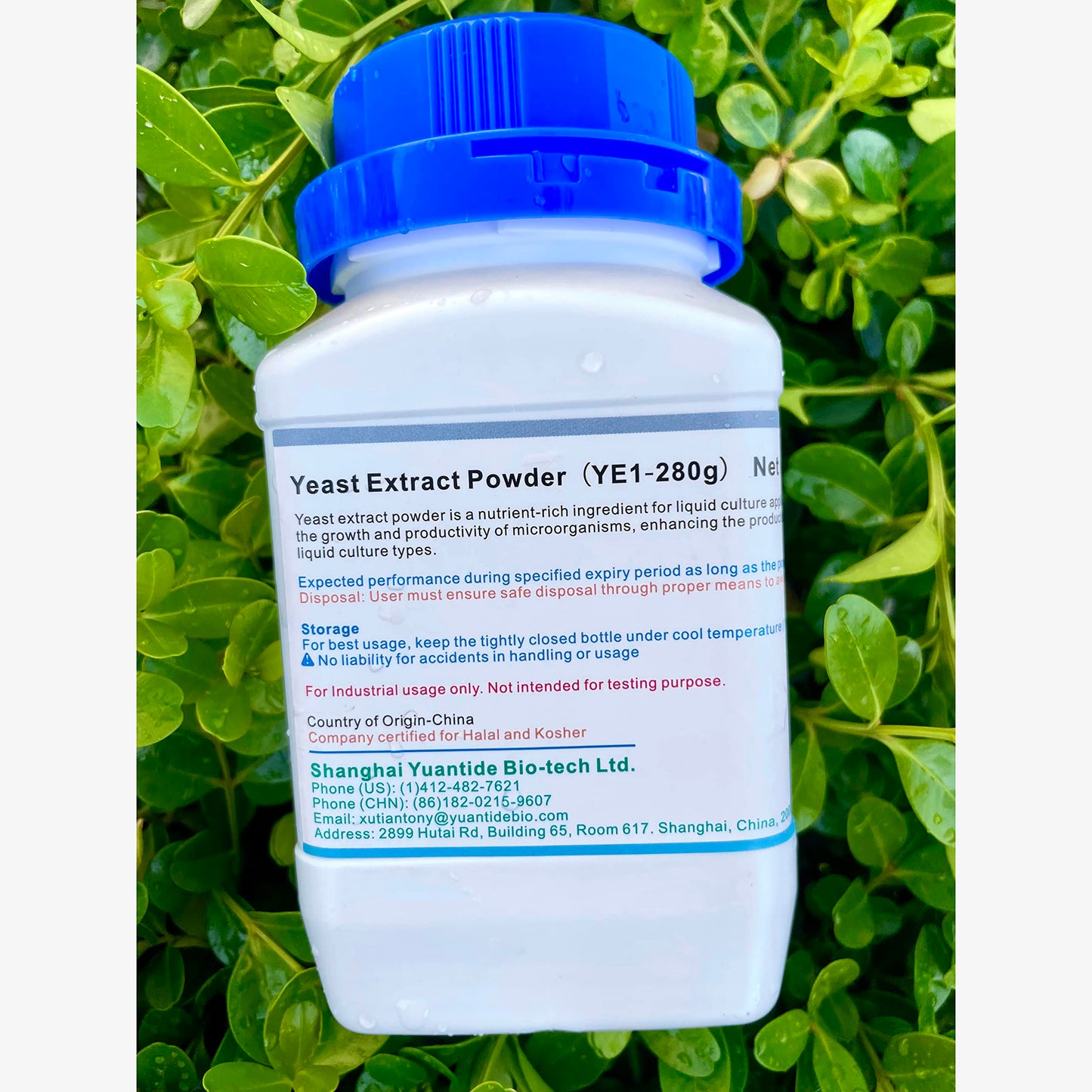 Yuantide Bio-Tech Yeast Extract YC01 Powder, 280g, 1 unit