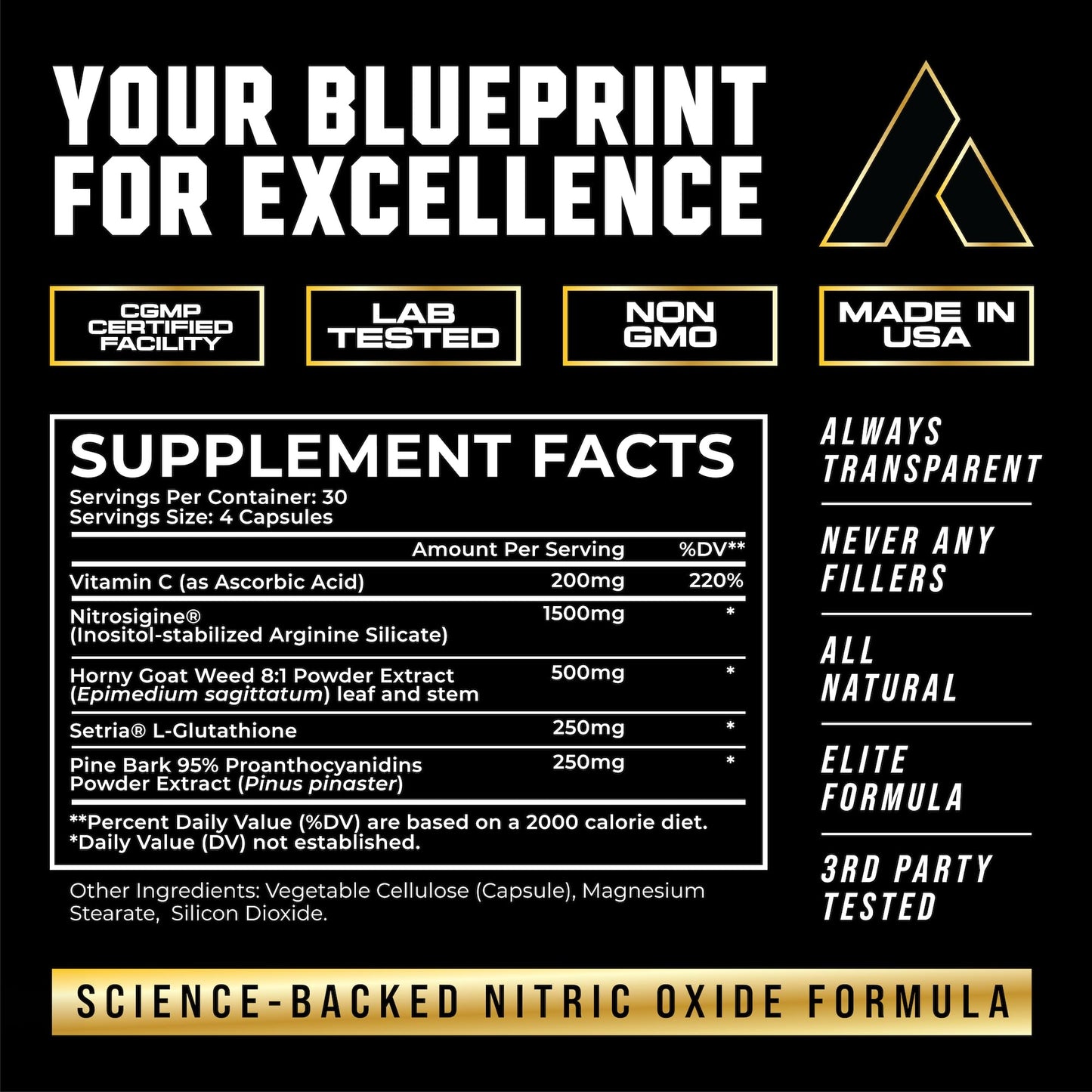 Aurascend Magnum Mode Nitric Oxide Supplements for Men with L Arginine, 120 Capsules