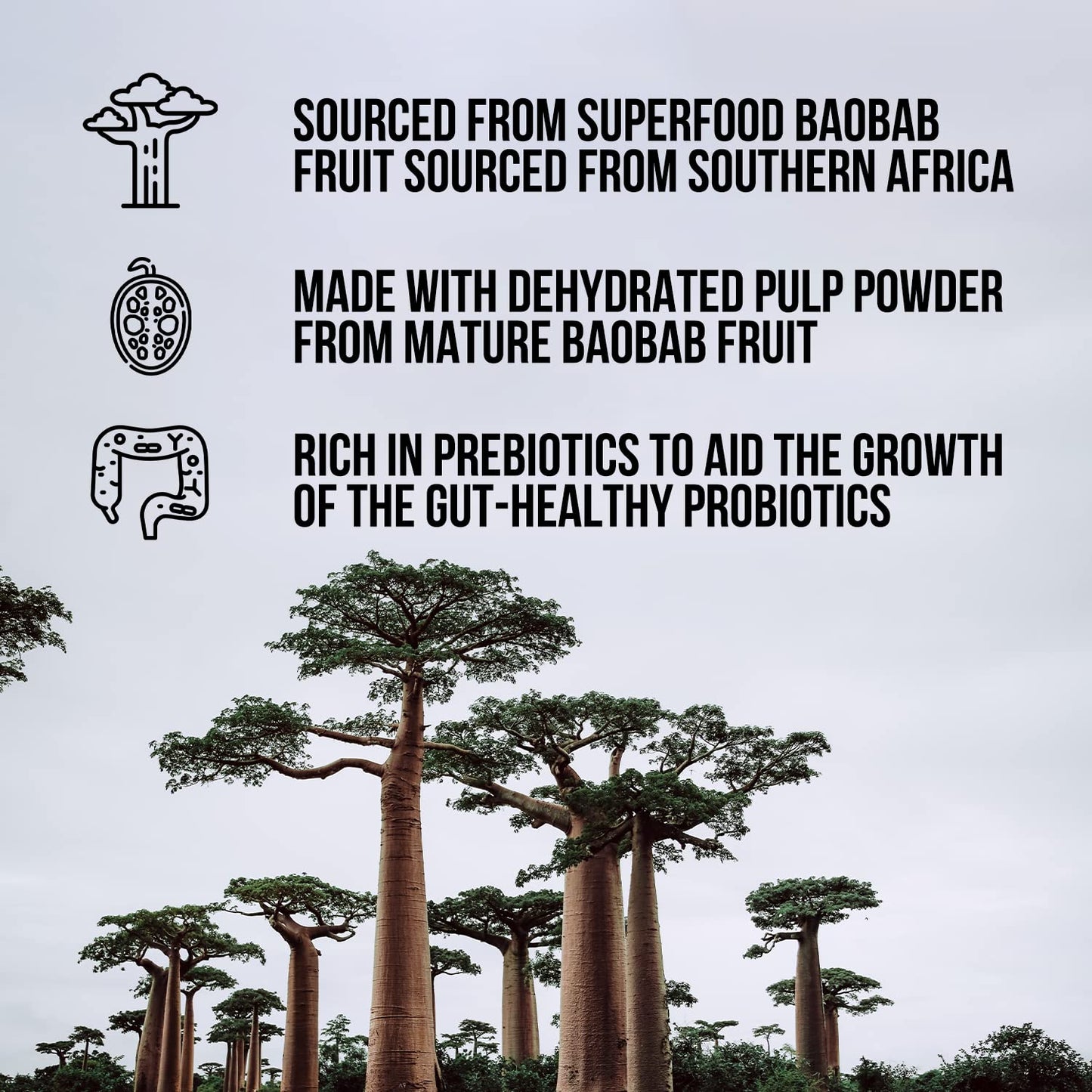 NAKED Fiber Organic Baobab Powder 10.6 Ounces