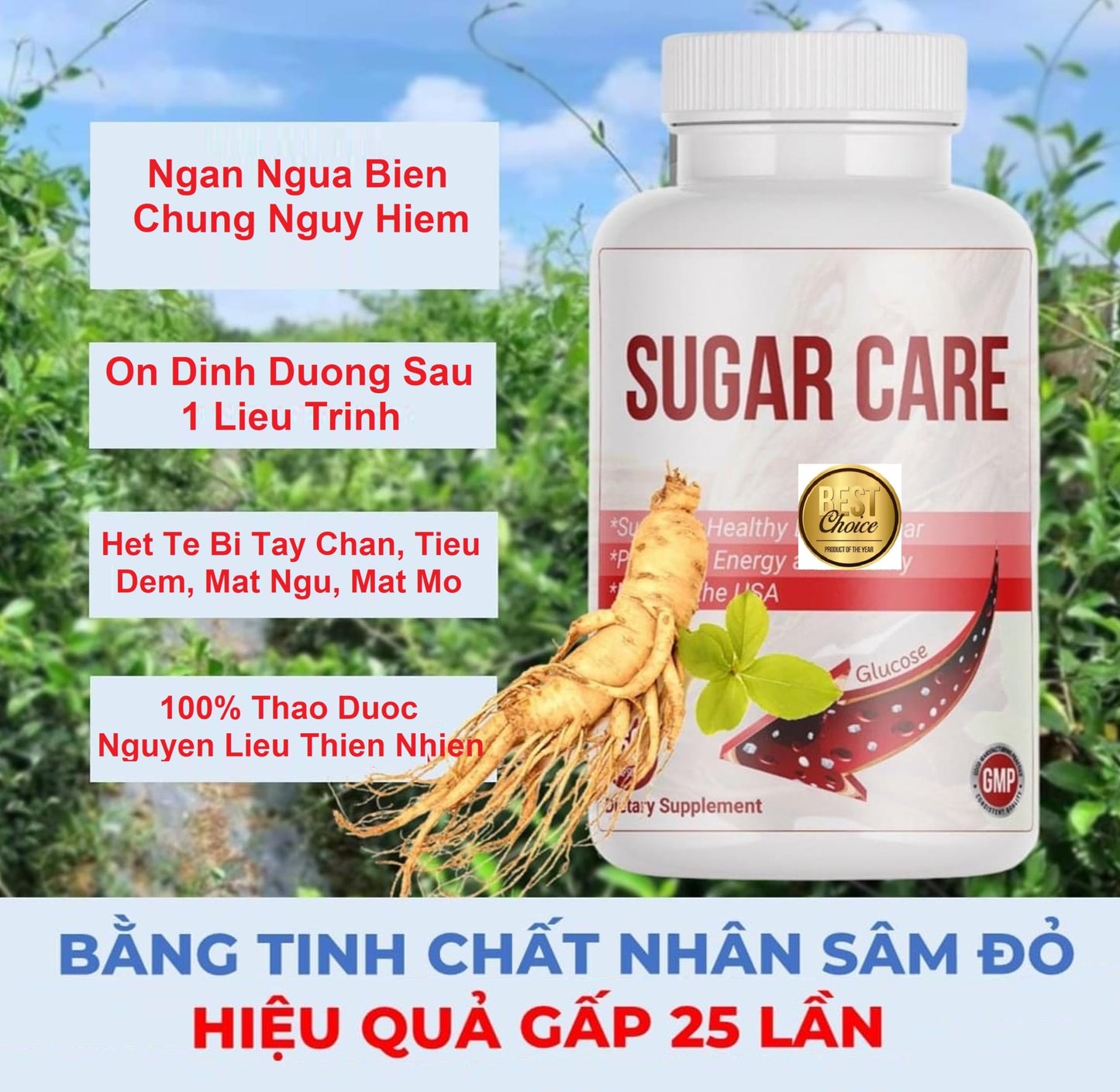 Generic Sugar Care Herbal with Red Ginseng Extract Capsules, 60 Count