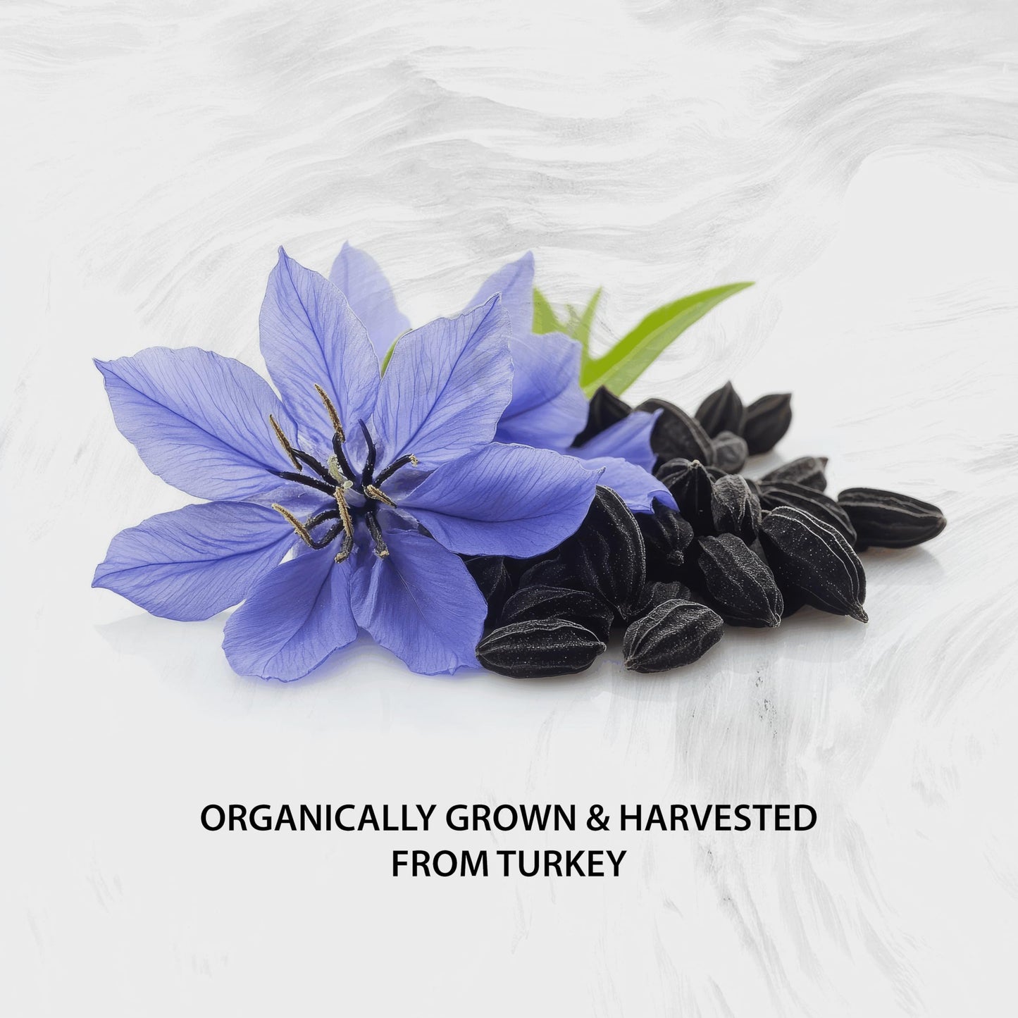 Naturalis Cold Pressed Black Seed Oil 1000mg Softgels, 60 Count