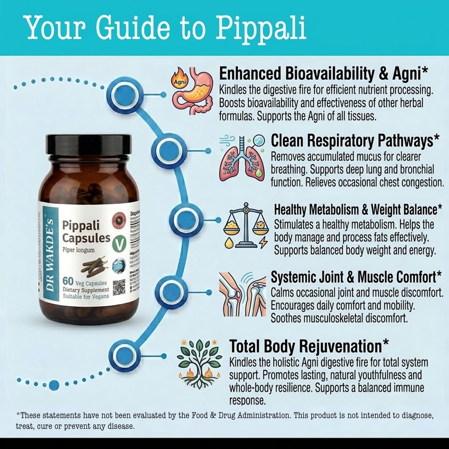 DR WAKDE'S Pippali Capsules 1 Count