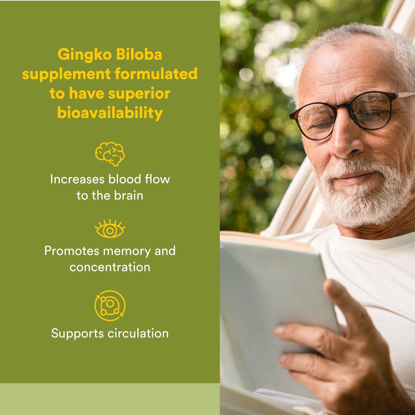 Natural Factors Ginkgo Biloba Phytosome Capsules, 60 Capsules