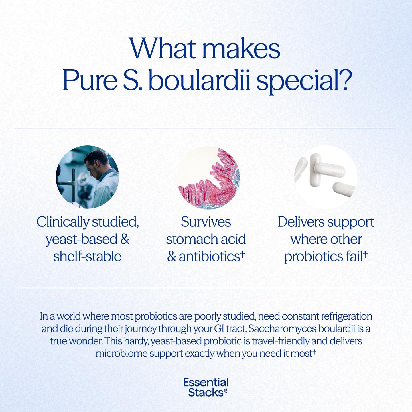 Essential Stacks Saccharomyces Boulardii Probiotics Capsules, 60 Count