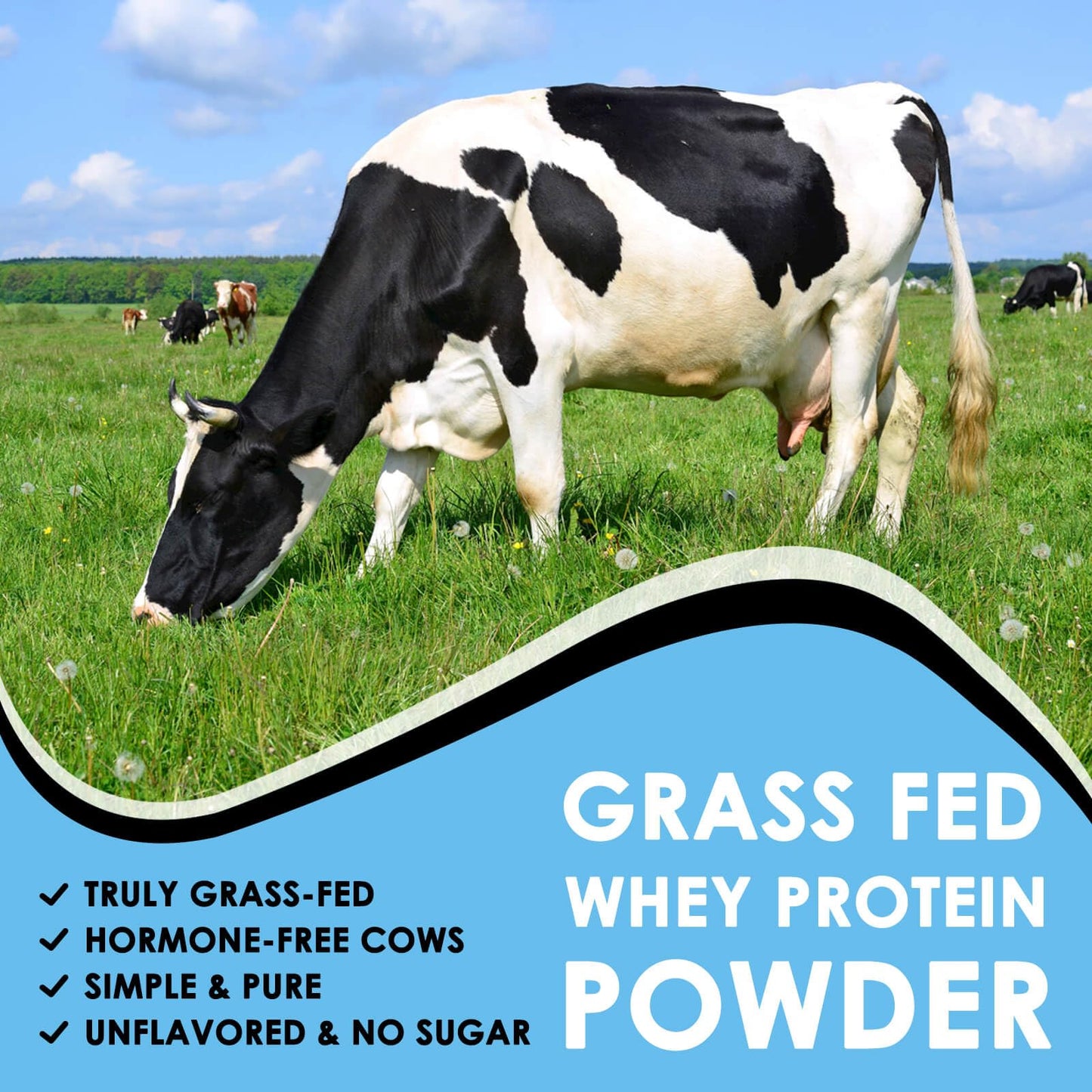 NATURE TARGET Unflavored Whey Protein Isolate Powder 1.1 Pound, 26g Protein, 16 Servings