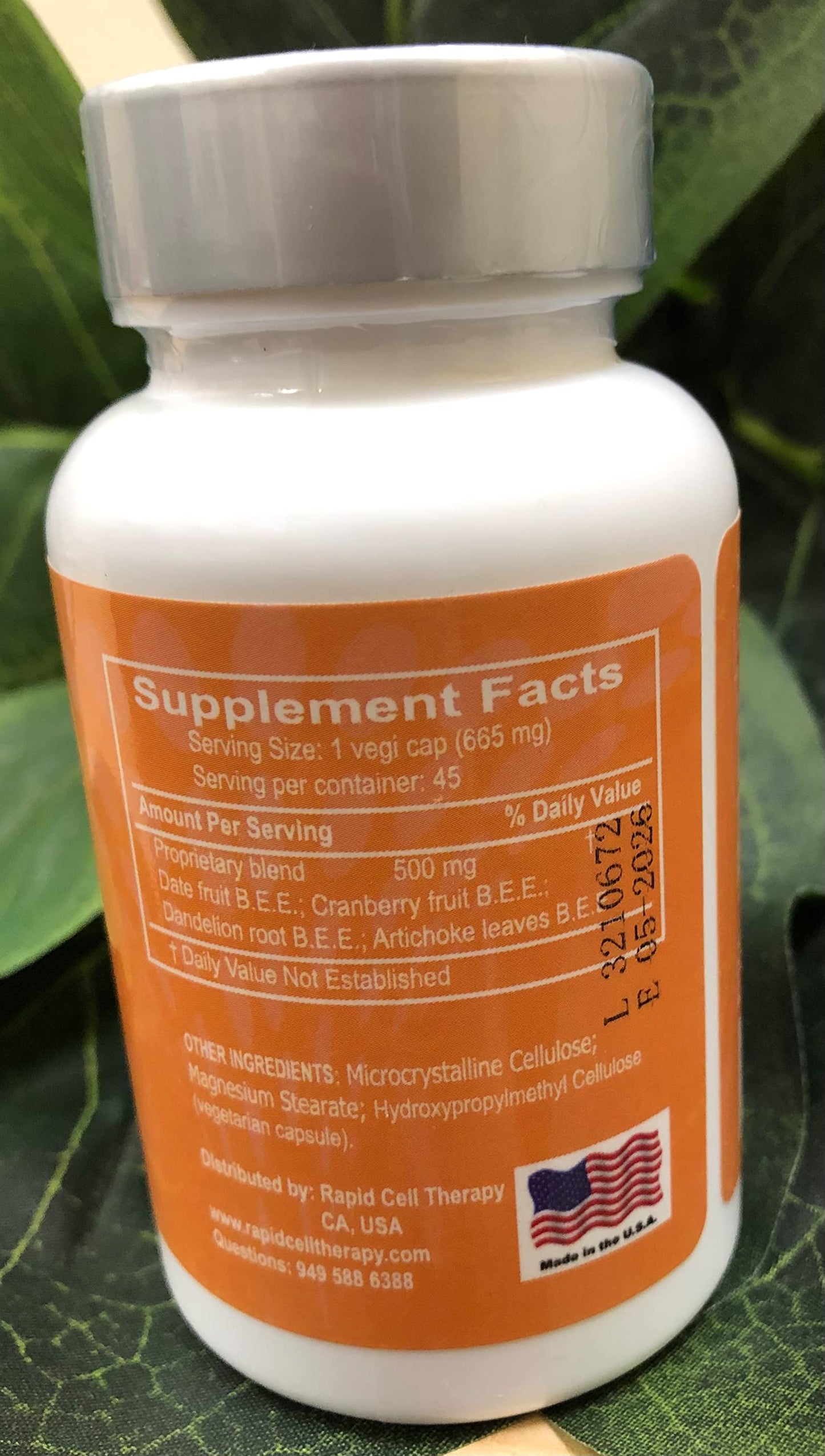 RAPID CELL THERAPY RENACARE Capsules 45 Count