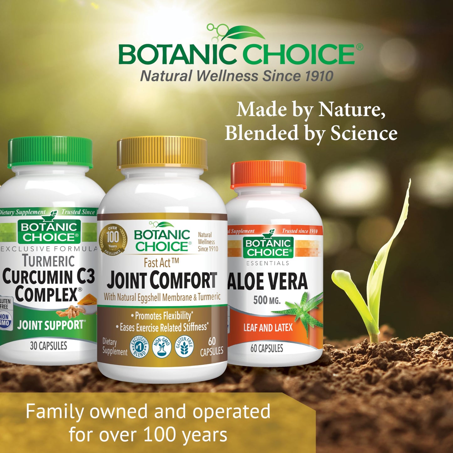 Botanic Choice Fast Act Joint Comfort with NEM Natural Eggshell Membrane, Turmeric Curcumin, Bioperine, & White Willow Bark, Supports Joint Health Capsules, 60 Count