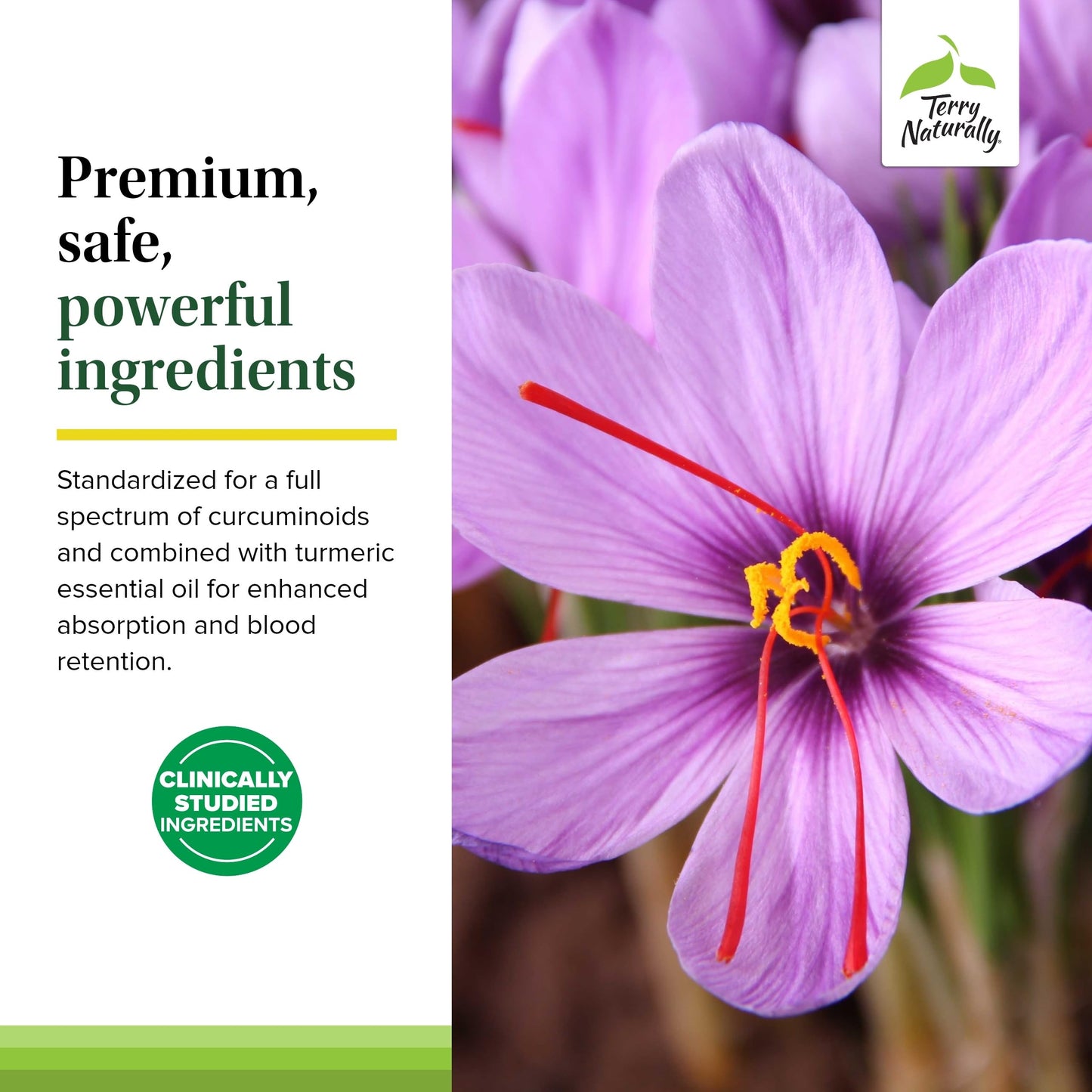 Terry Naturally Saffron Lift + Curcumin Capsules, 120 Capsules