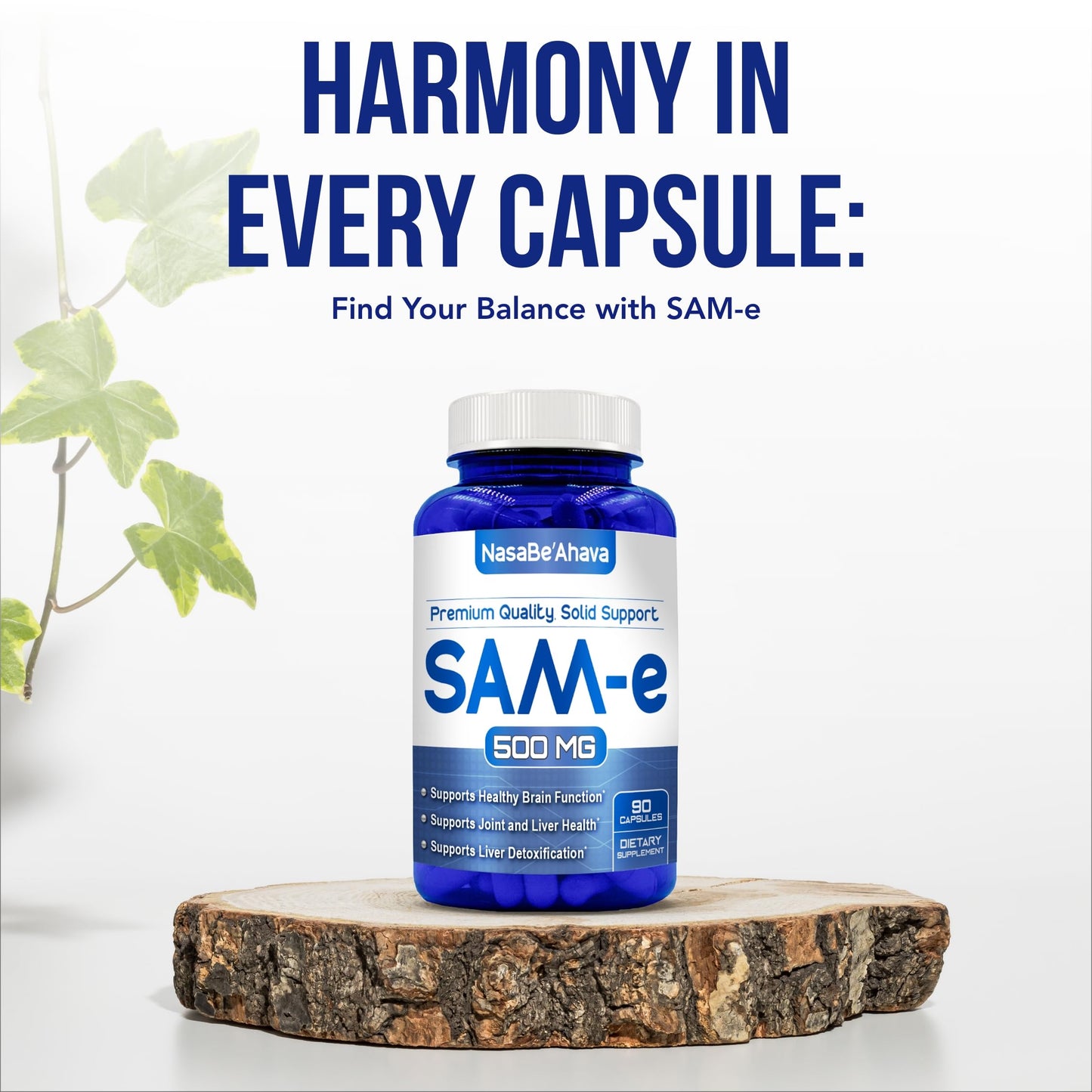 NasaBeahava SAM-E Supplement 500mg Capsule 90 Count