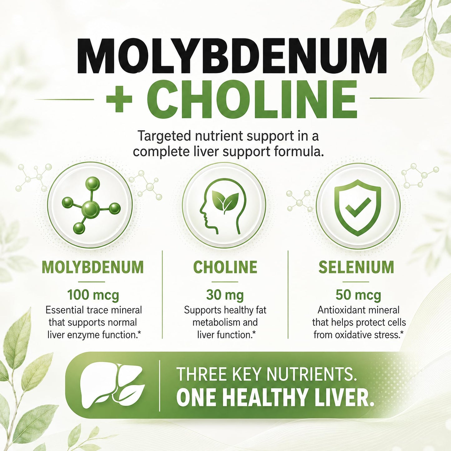 Balance ONE Liver Support Supplement with Milk Thistle, Molybdenum, Dandelion Root & Choline Capsule, 60 Count
