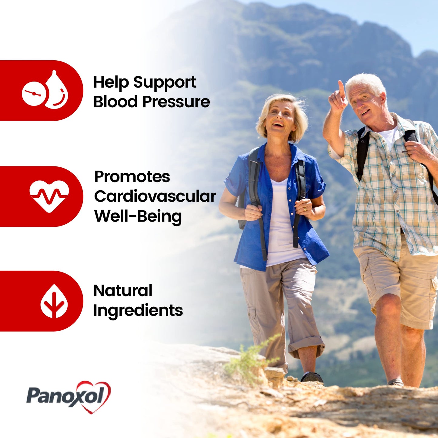 Panoxol Blood Pressure Supplements Nitric Oxide Capsules 360