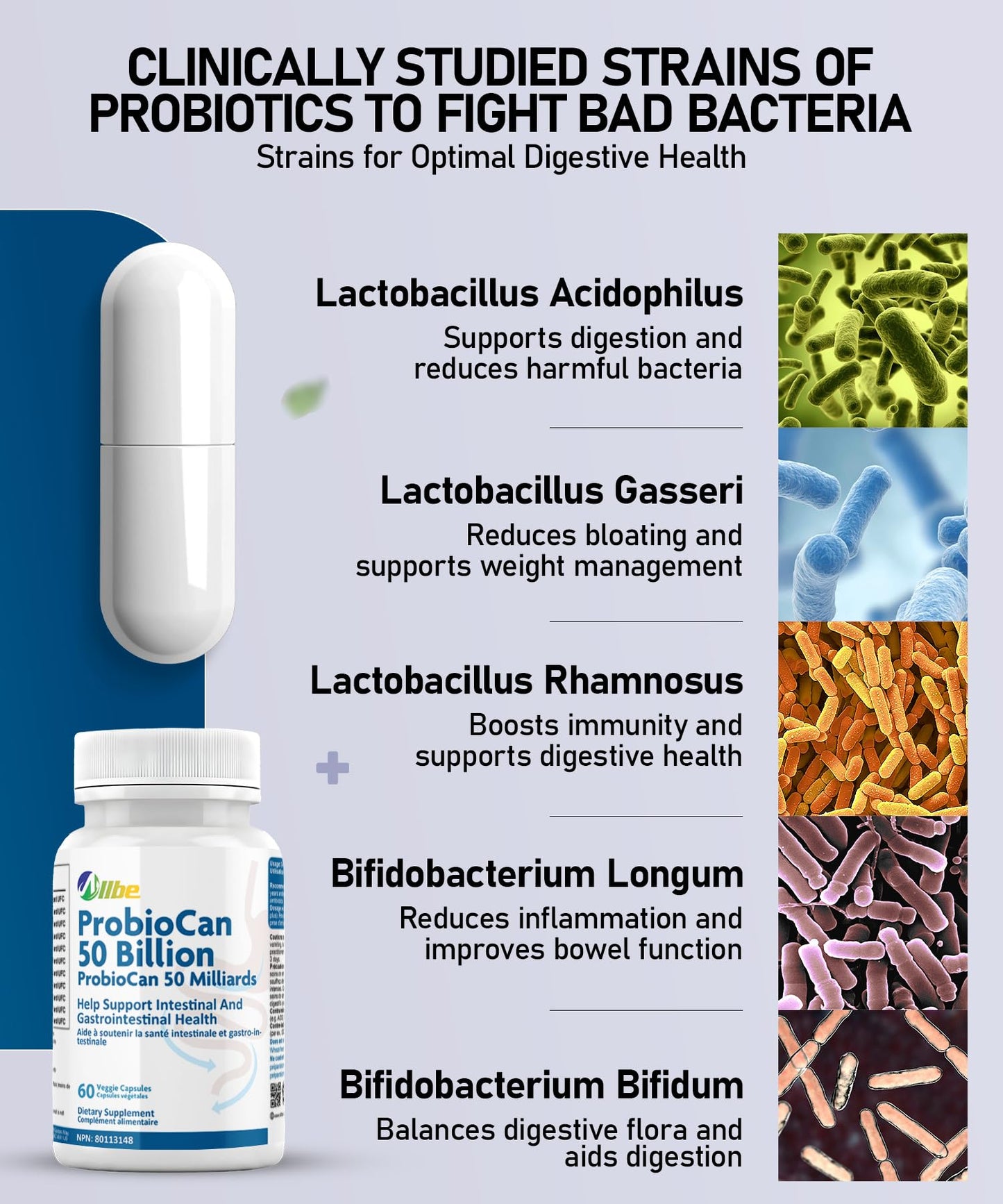 Allbe ProbioCan Probiotic Capsule 50 Billion CFU, 60 Count