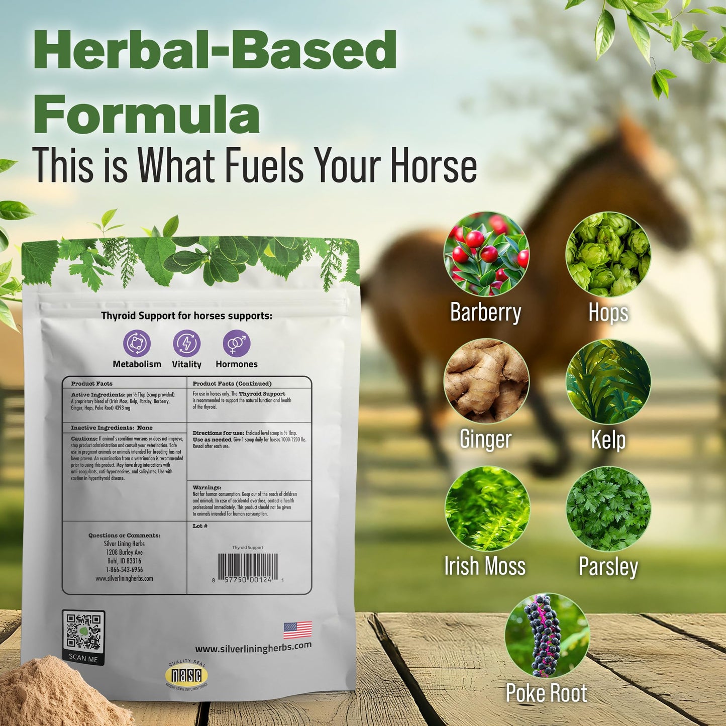 Silver Lining Herbs Thyroid Support for Horses Powder, 1 Unit