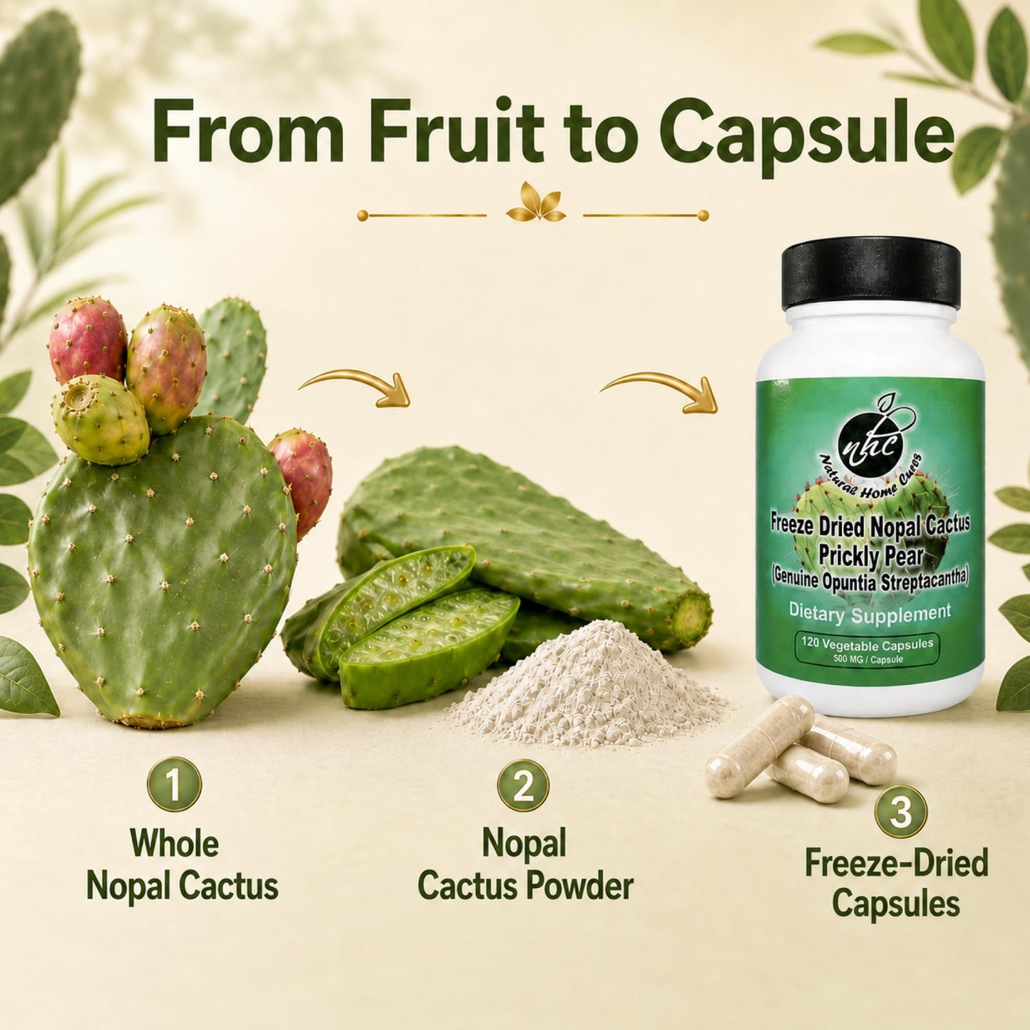 Natural Home Cures Nopal Cactus Capsules - Freeze Dried Prickly Pear Extract - Fiber Supplement for Metabolic Health Support - Rich in Betalains & Nitrates - Non-GMO, 120 Veggie Caps