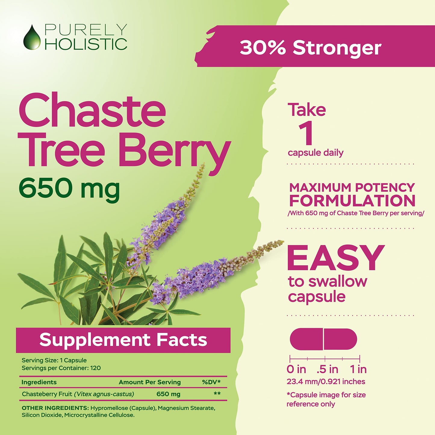 Purely Holistic Chasteberry Vitex Supplement 650mg Capsule 120 Count
