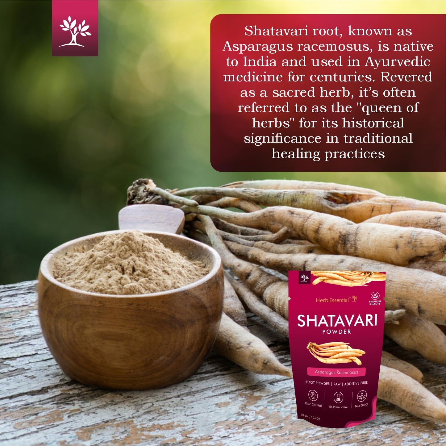 Herb Essential Shatavari Powder, 3.5274 oz (Pack of 2)