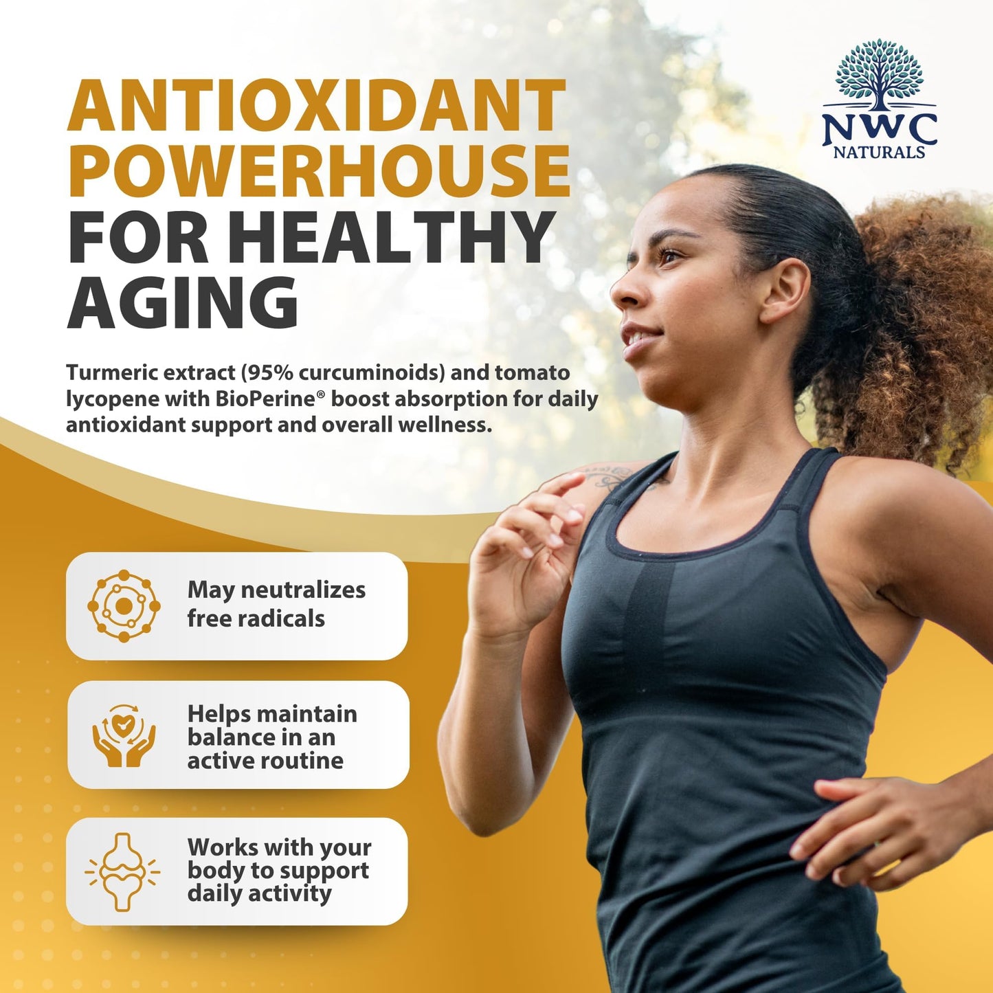 NWC Naturals MSM Gold Systemic Enzyme Supplement Capsules 300
