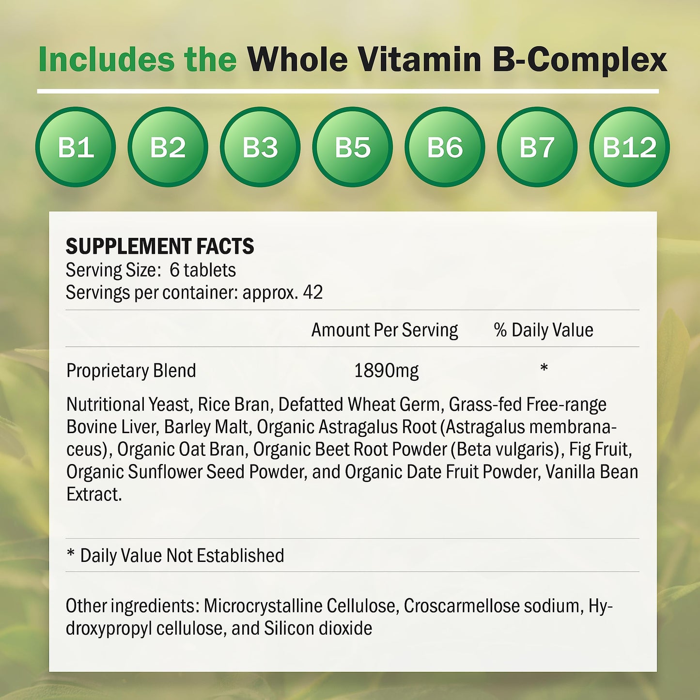 NutriPlex Formulas BFood Whole Food Vitamin B Complex Tablet, 250 Tablets