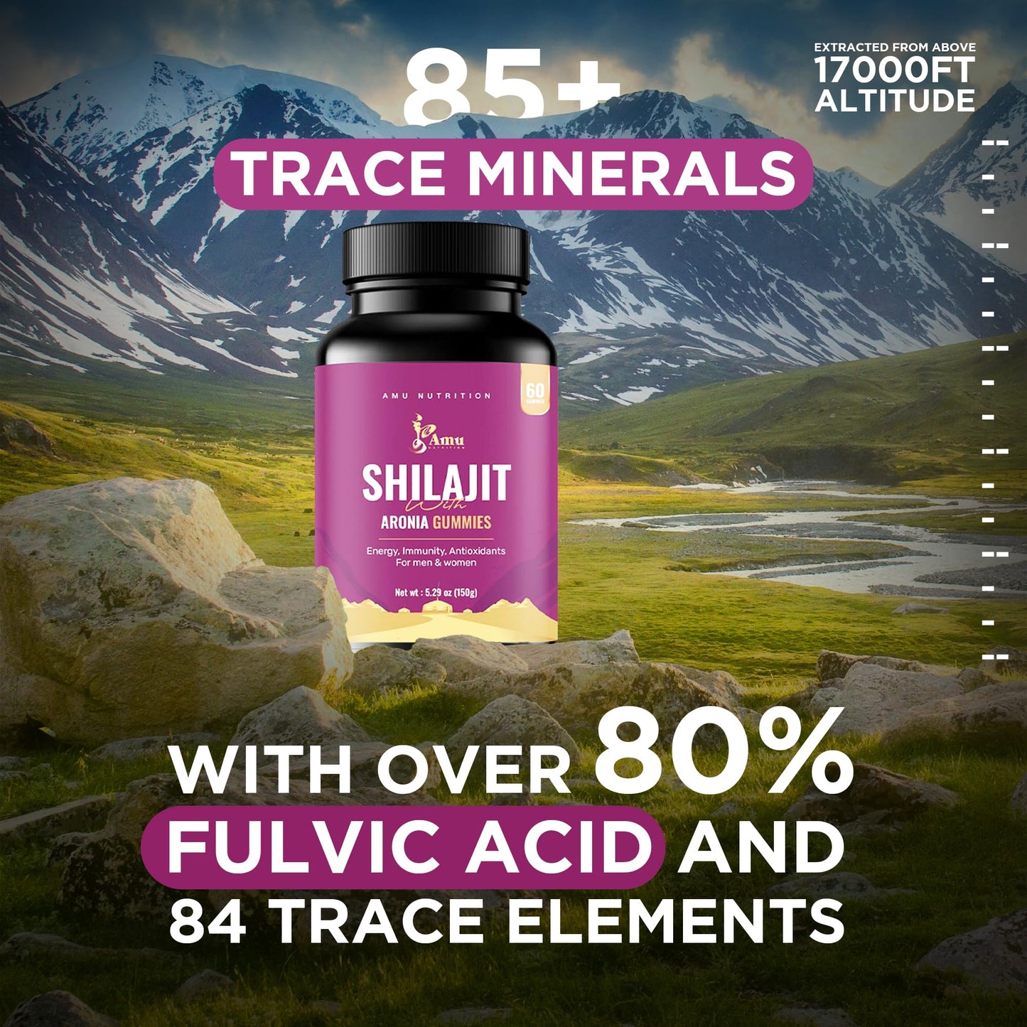 AMU NUTRITION Shilajit Gummies, 60 Count