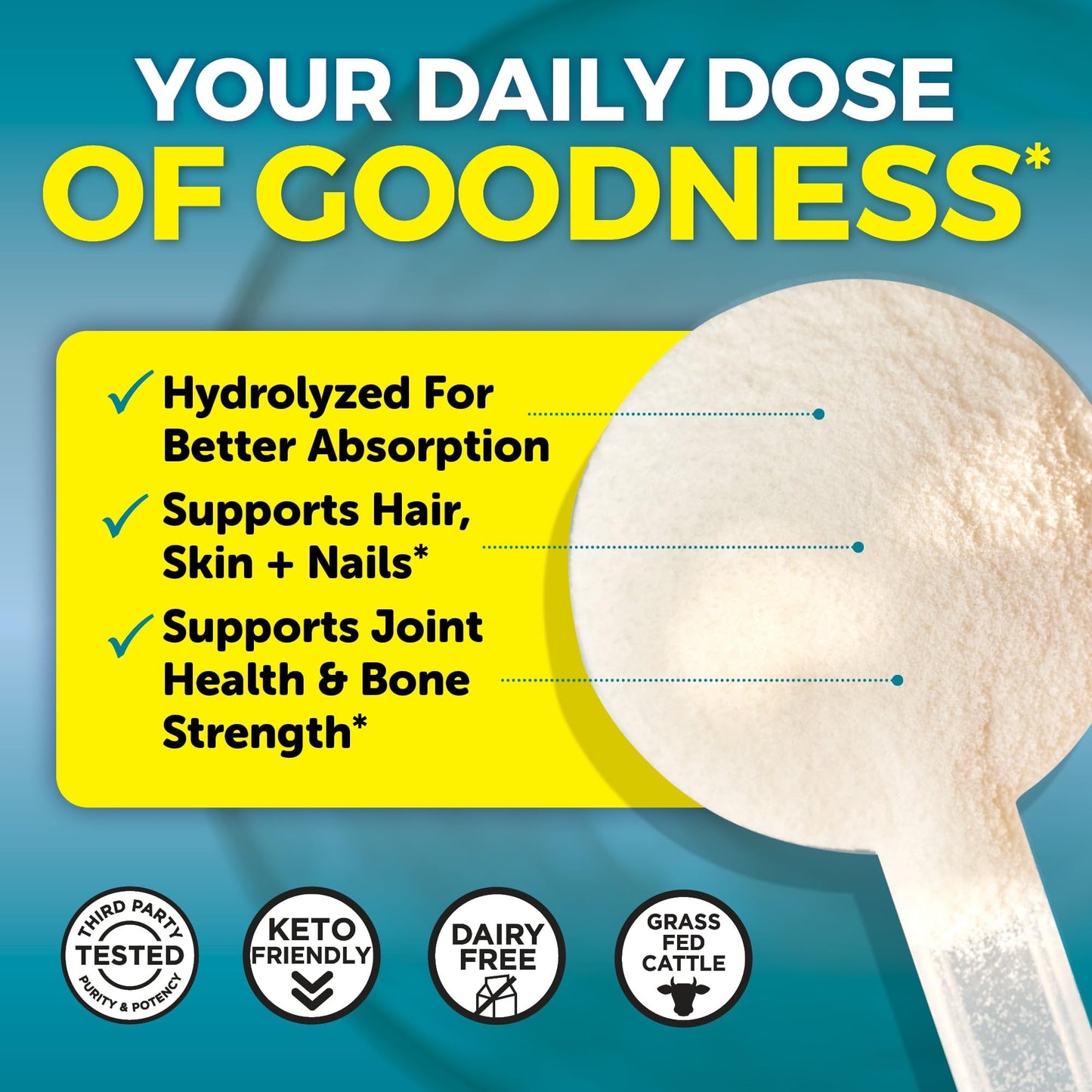 Viva Naturals Collagen Peptides Powder, 16 oz