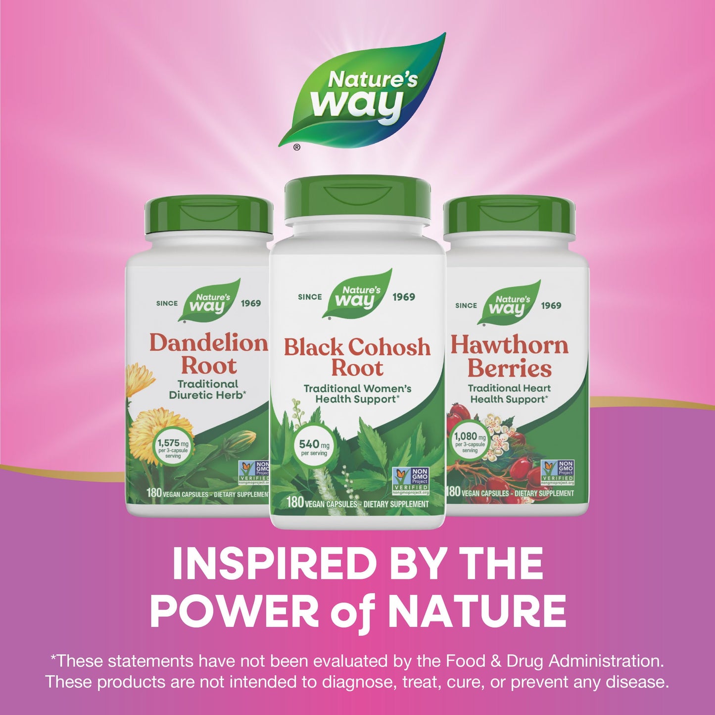 Nature's Way Black Cohosh Root, 360 Capsules