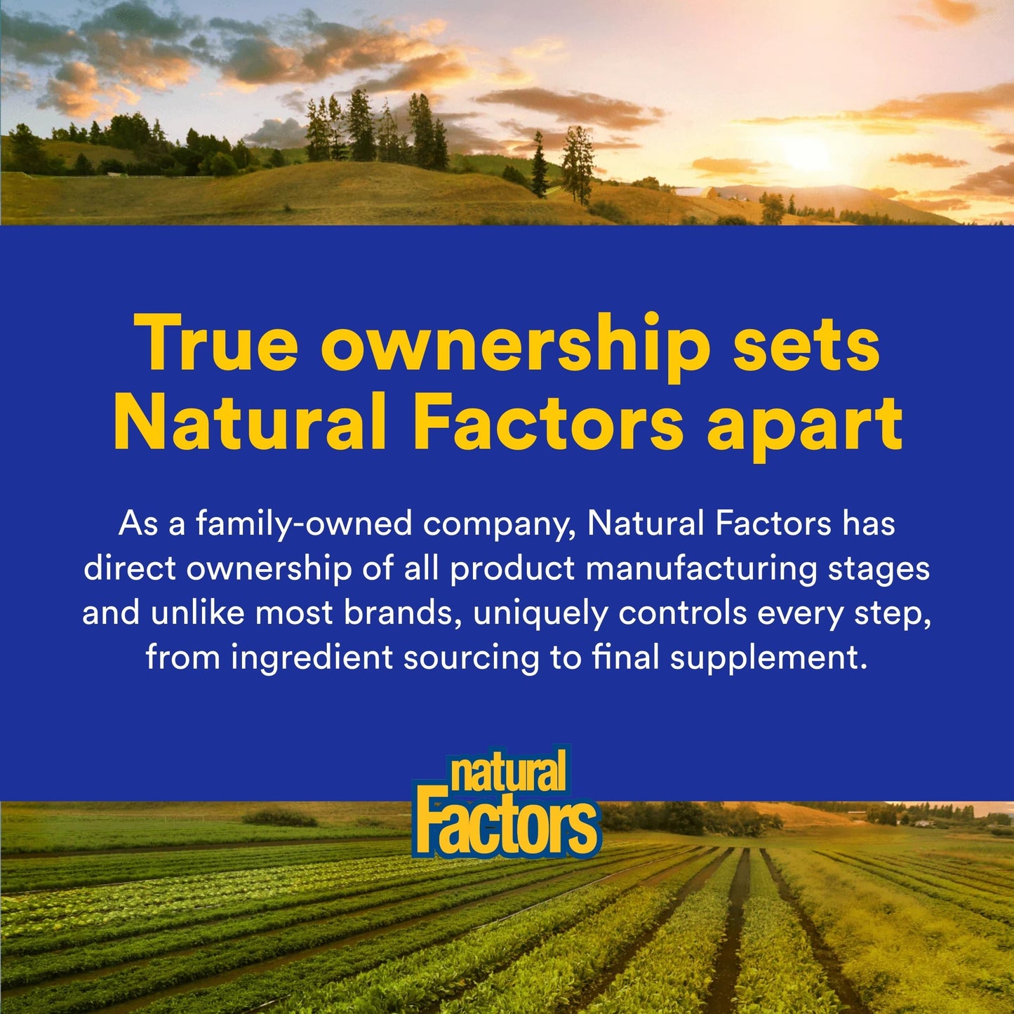 Natural Factors Rx Omega-3 Factors Mini-Gels Softgels, 60 Softgels