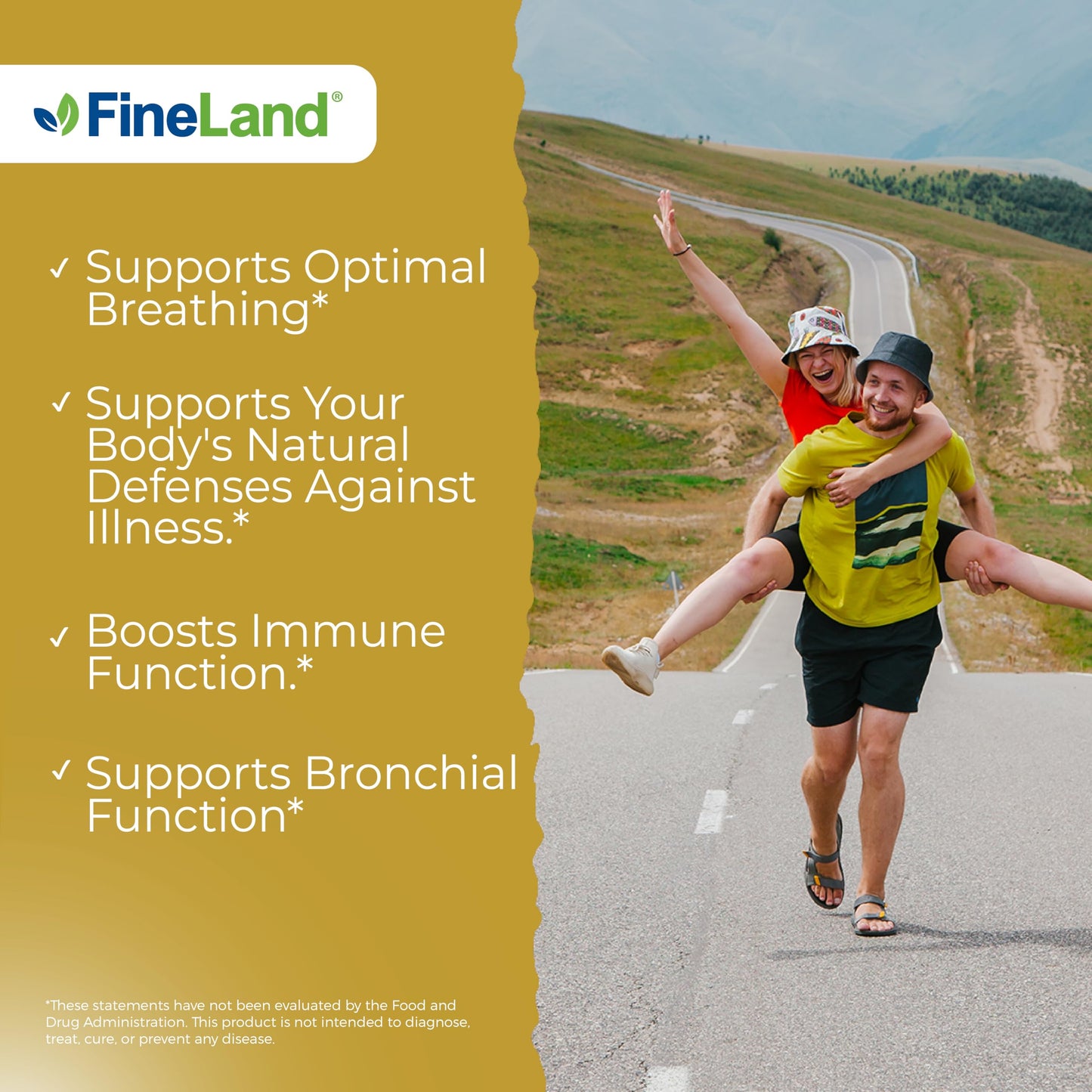 FineLand Mullein Extract Lung Cleanse & Respiratory Support Supplement, 120 Vegan Capsules