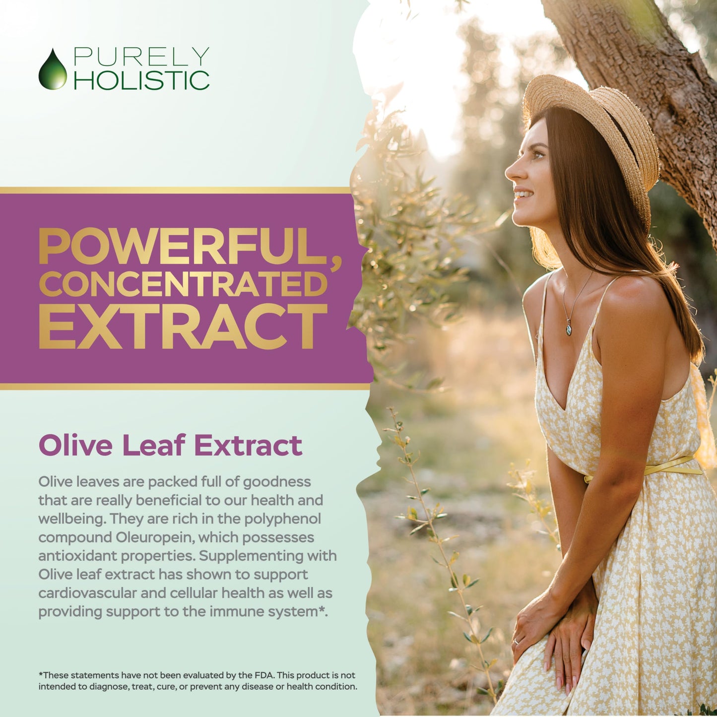 Purely Holistic Olive Leaf Extract 750mg Capsules, 120 Count