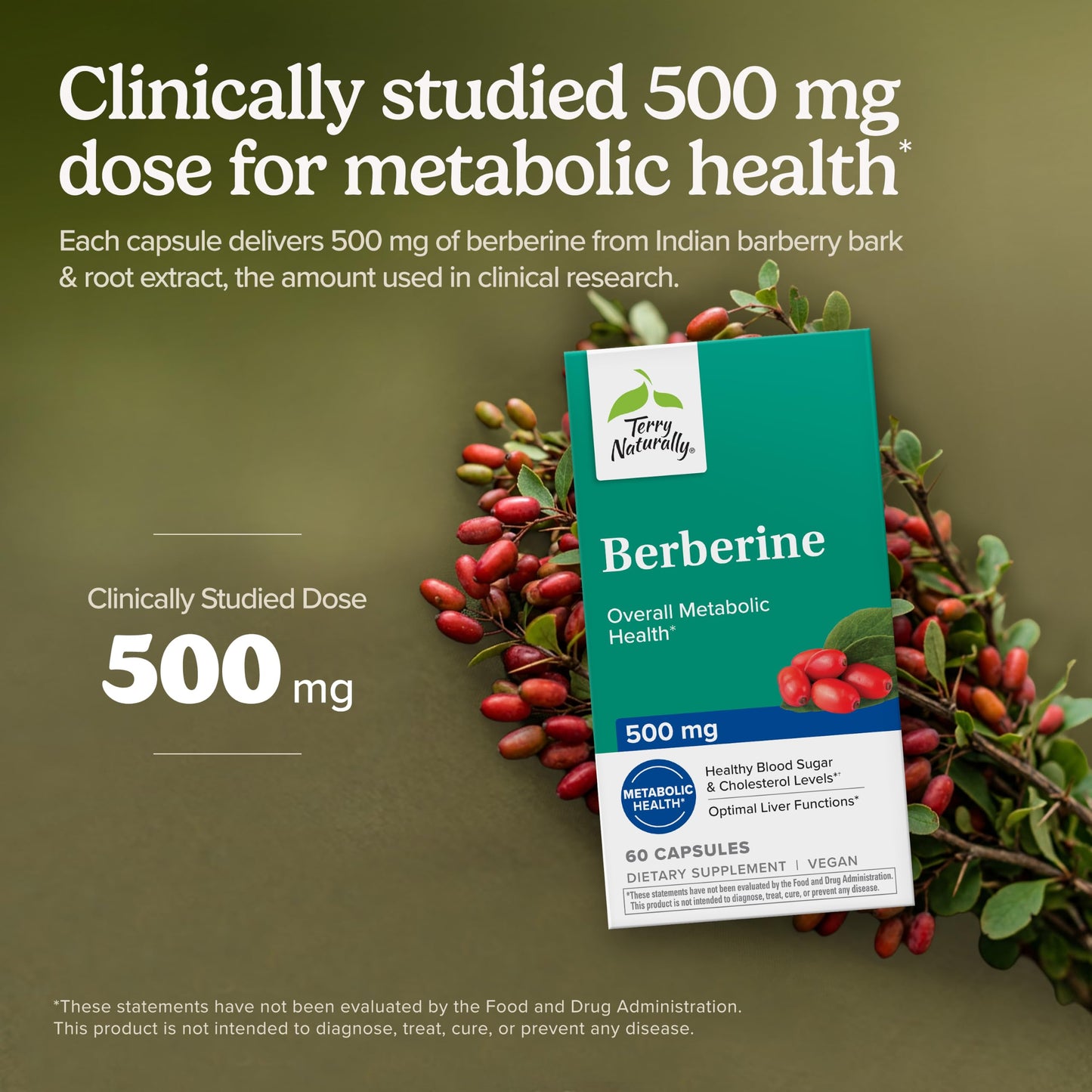Terry Naturally Berberine Capsule, 60 Count