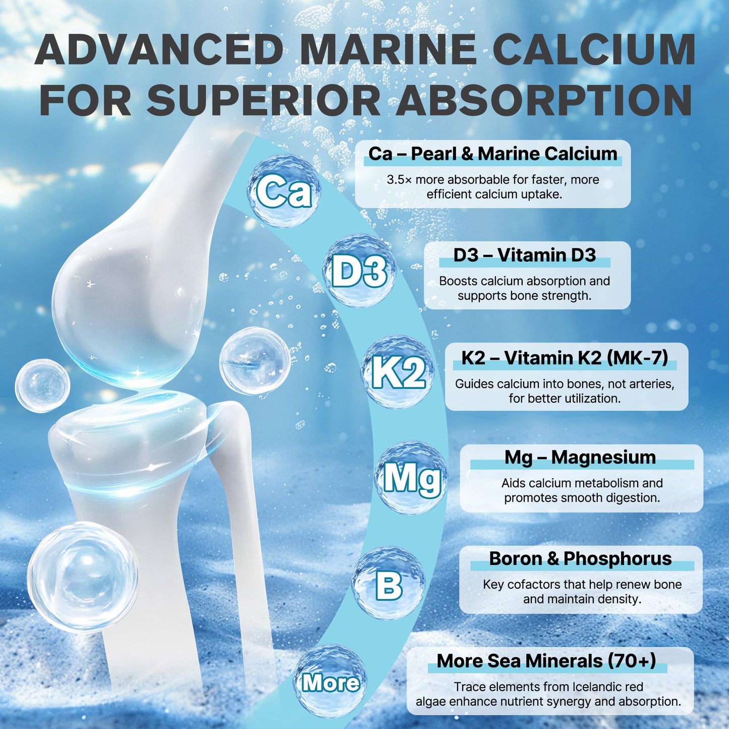 Qanoreth Marine Calcium Bone Density & Strength Supplement Capsule 1 Count