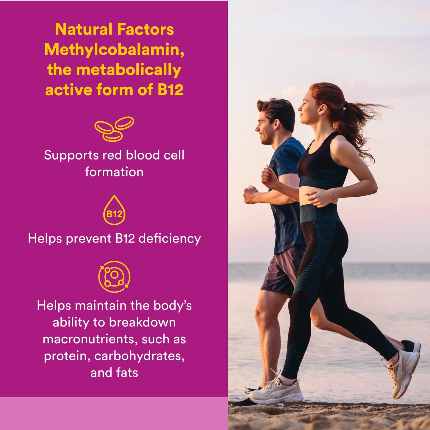 Natural Factors Vitamin B12 Methylcobalamin 1000 mcg Tablets 90