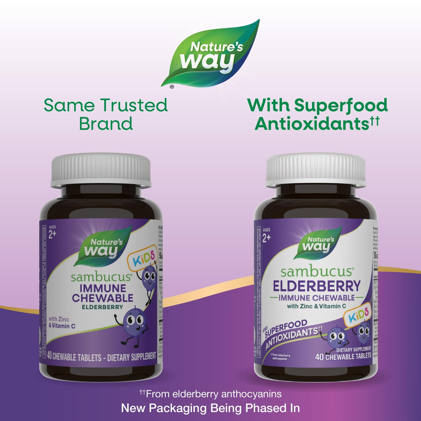 Nature's Way Sambucus Elderberry Immune Chewable for Kids, Ages 2+, Immune Support*, Vitamin C, Zinc, with Superfood Antioxidants, Gluten Free, 40 Chewable Tablets